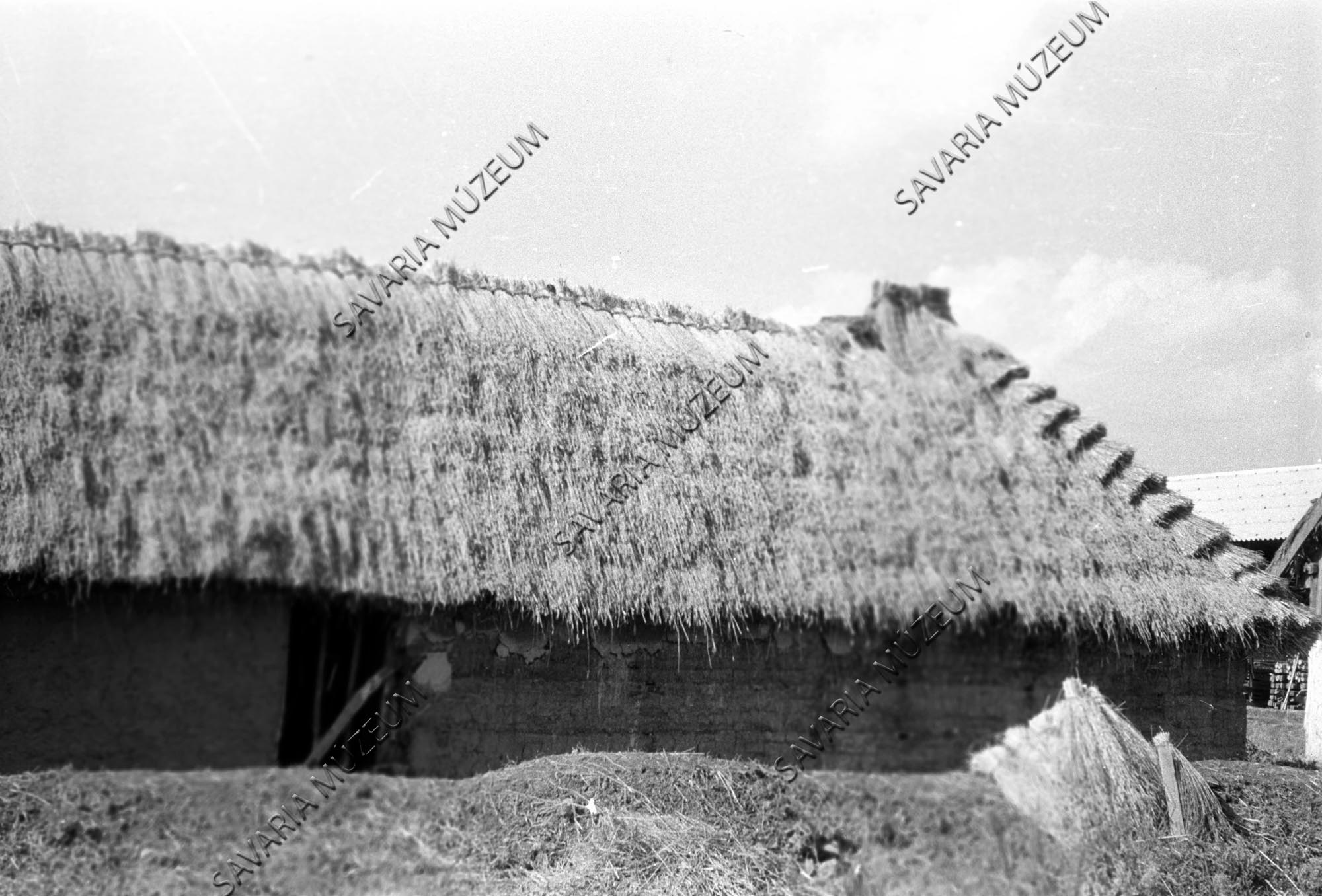 A nemeskoltai ház hátulsó oldala zsúpolás közben (Savaria Megyei Hatókörű Városi Múzeum, Szombathely CC BY-NC-SA)