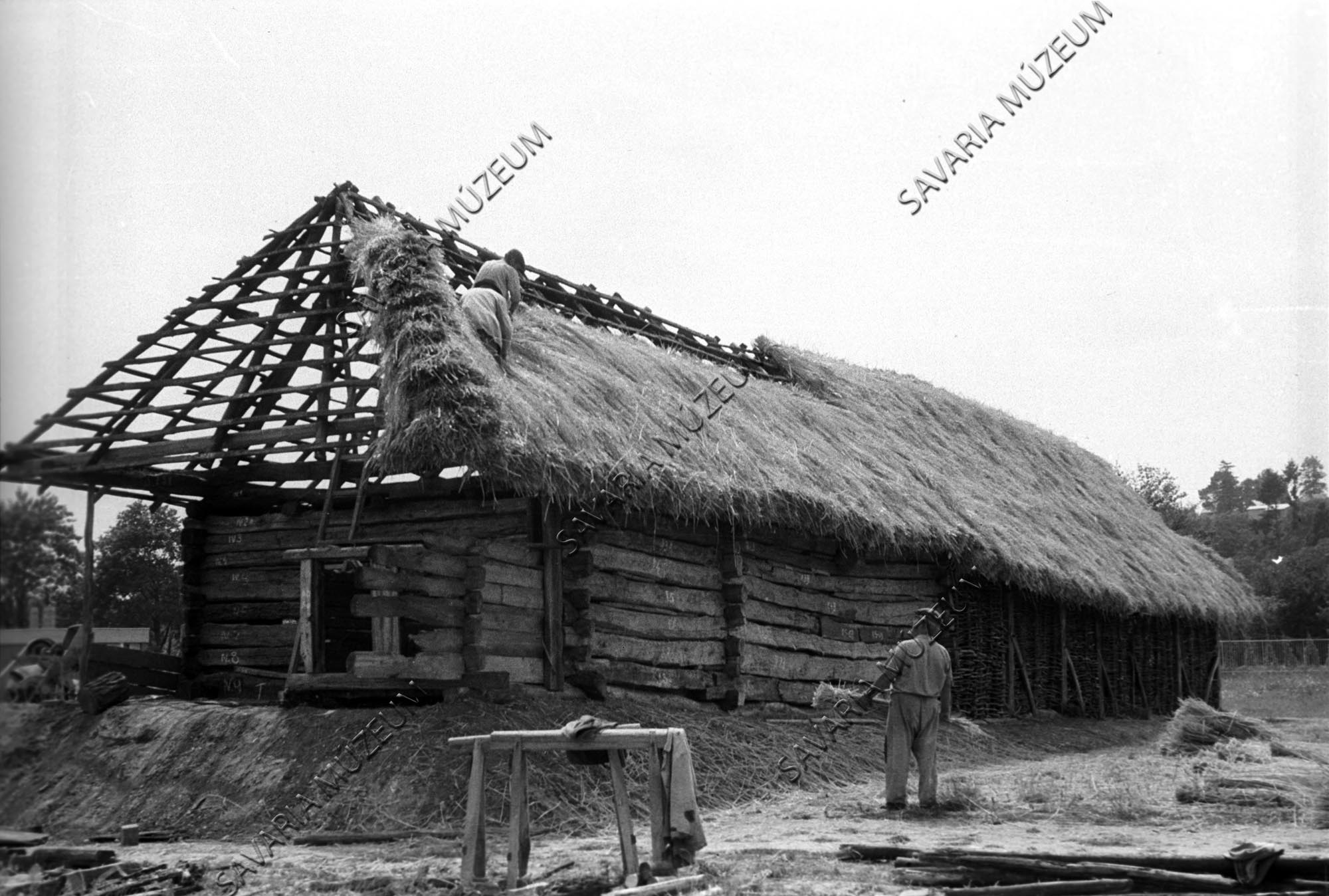 A szentpéterfai ház zsúpolása (Savaria Megyei Hatókörű Városi Múzeum, Szombathely CC BY-NC-SA)
