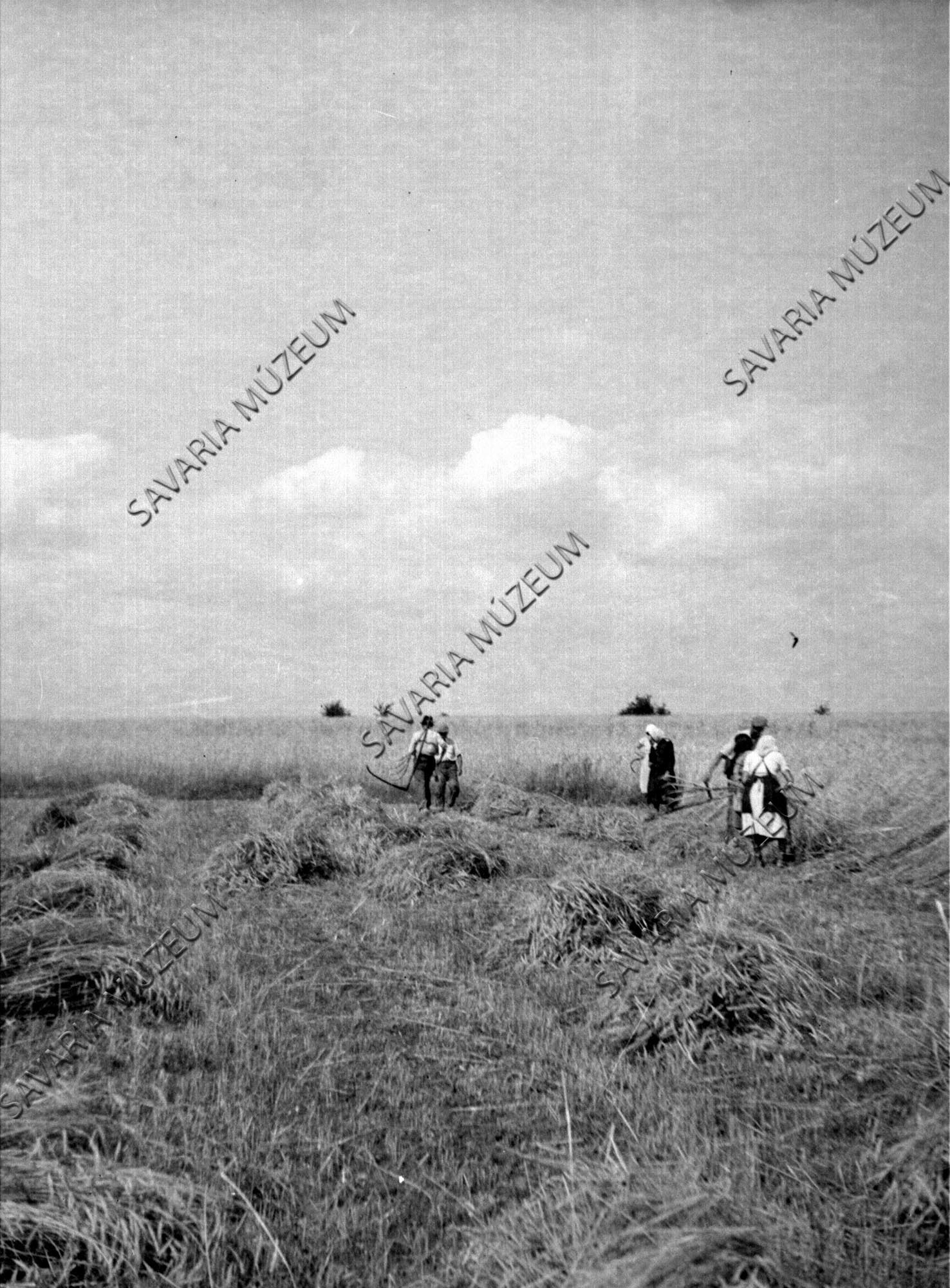 Aratás kaszával (tszcs) (Savaria Megyei Hatókörű Városi Múzeum, Szombathely CC BY-NC-SA)