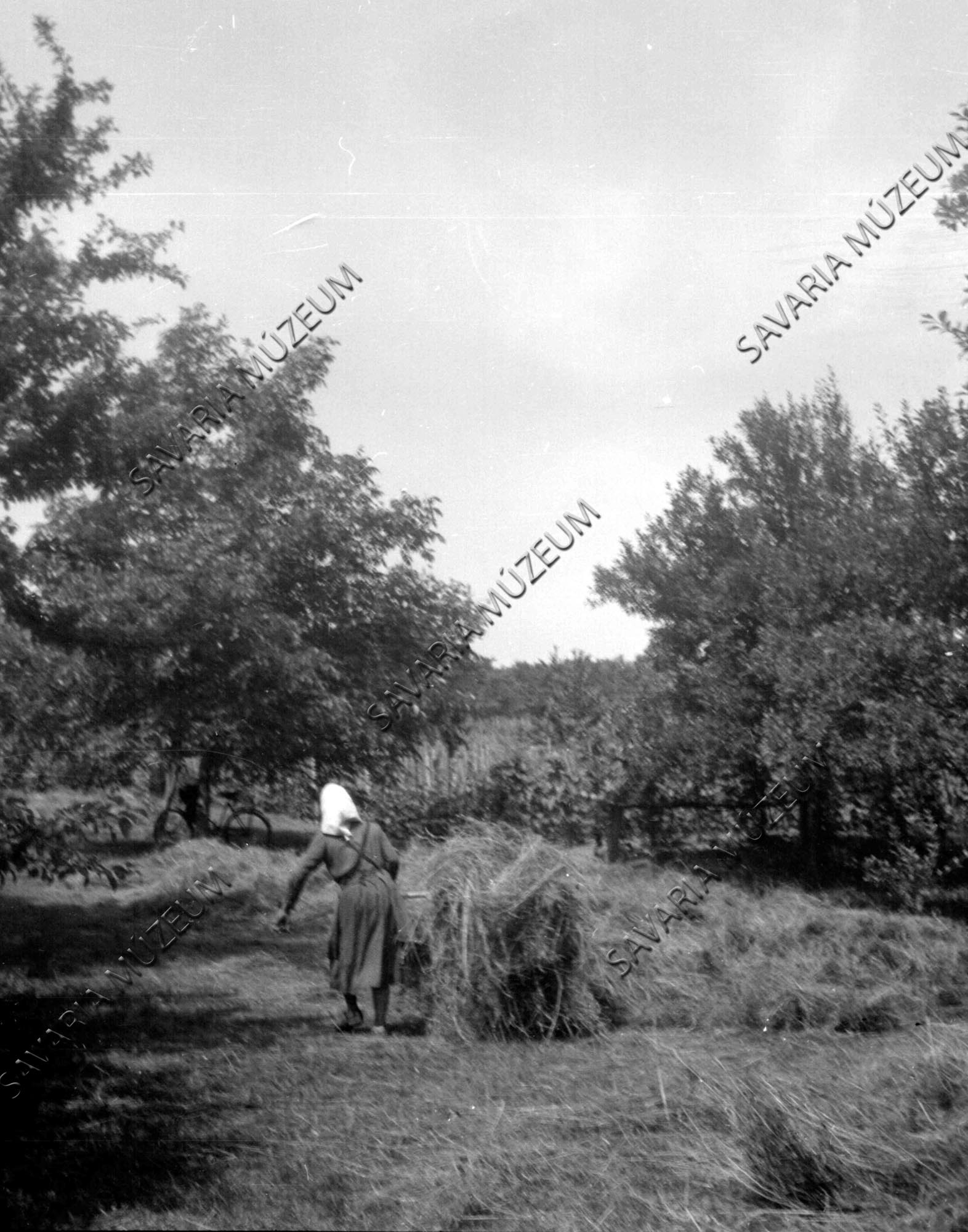 Szénahordás villával (Savaria Megyei Hatókörű Városi Múzeum, Szombathely CC BY-NC-SA)