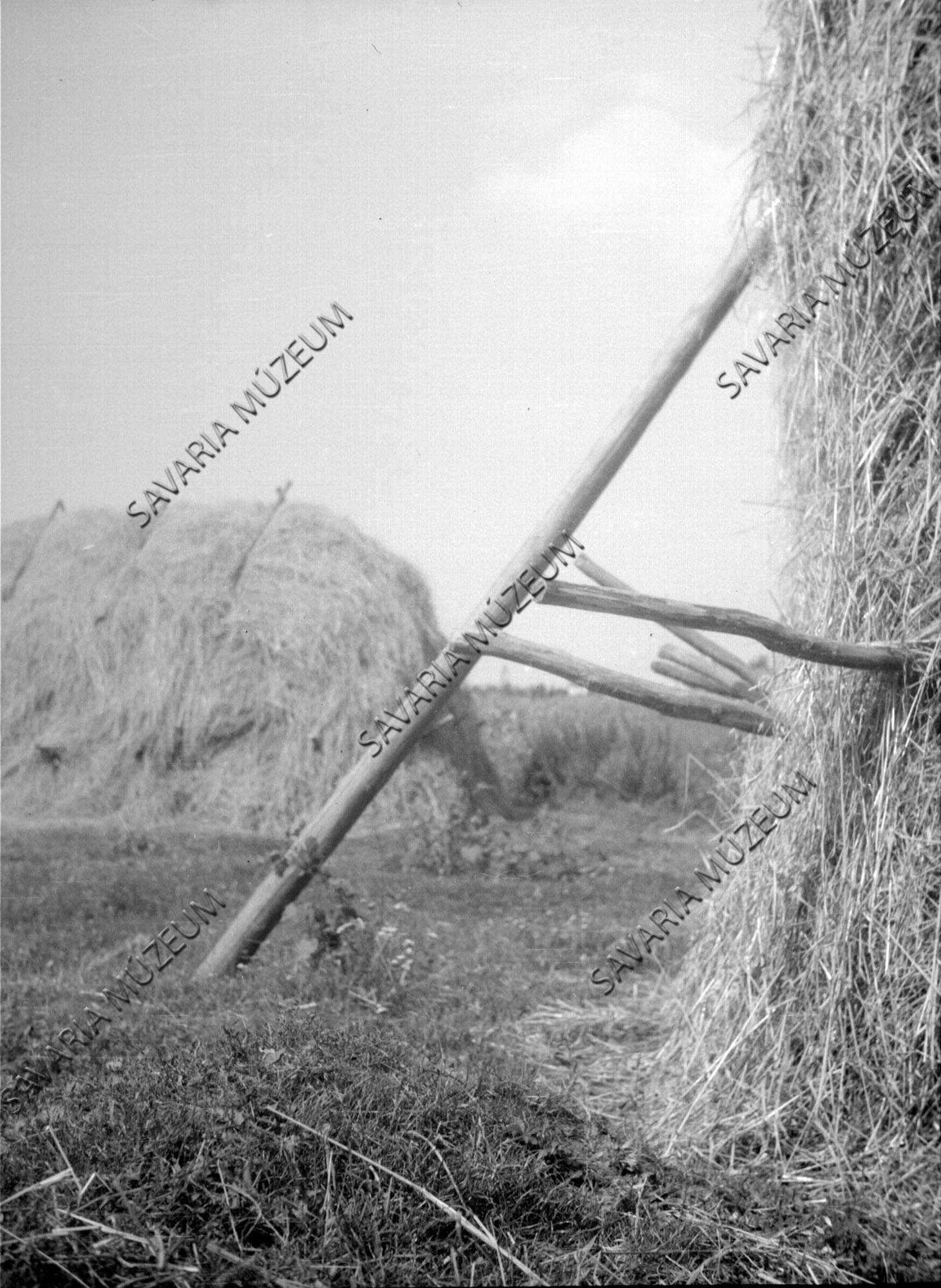 Kazal oldalába dugott karók (Savaria Megyei Hatókörű Városi Múzeum, Szombathely CC BY-NC-SA)