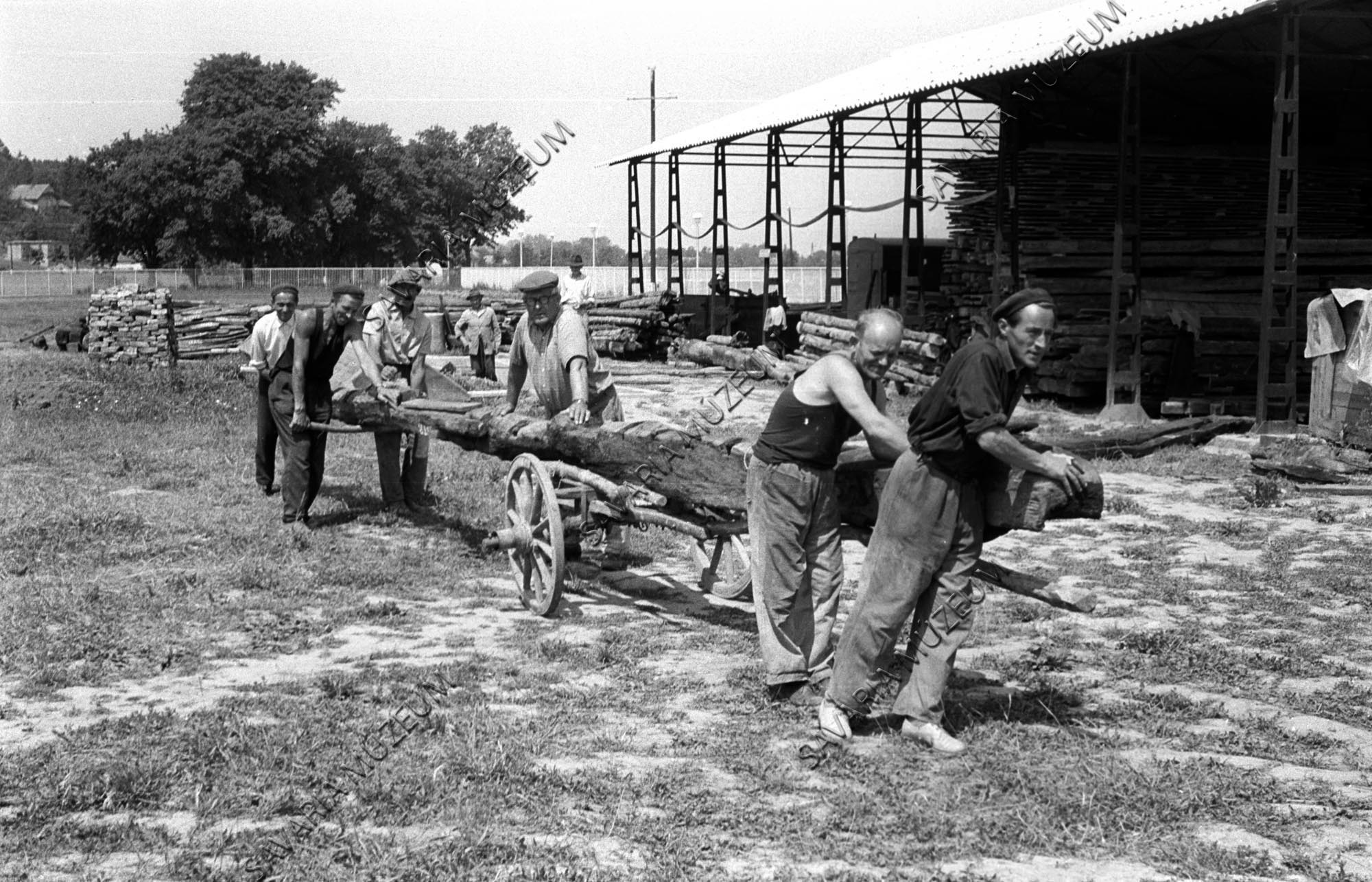 talpgerenda szállítás (Savaria Megyei Hatókörű Városi Múzeum, Szombathely CC BY-NC-SA)