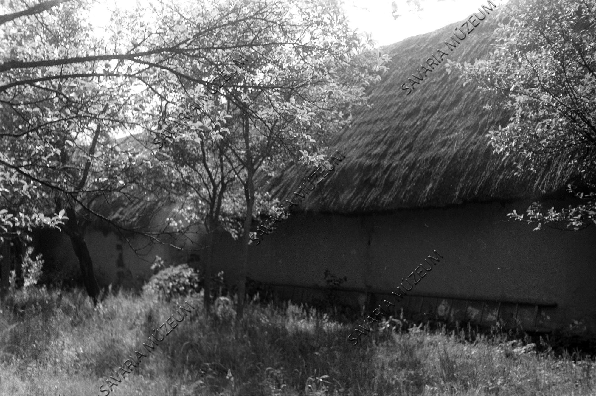 ház hátulról és létra (Savaria Megyei Hatókörű Városi Múzeum, Szombathely CC BY-NC-SA)