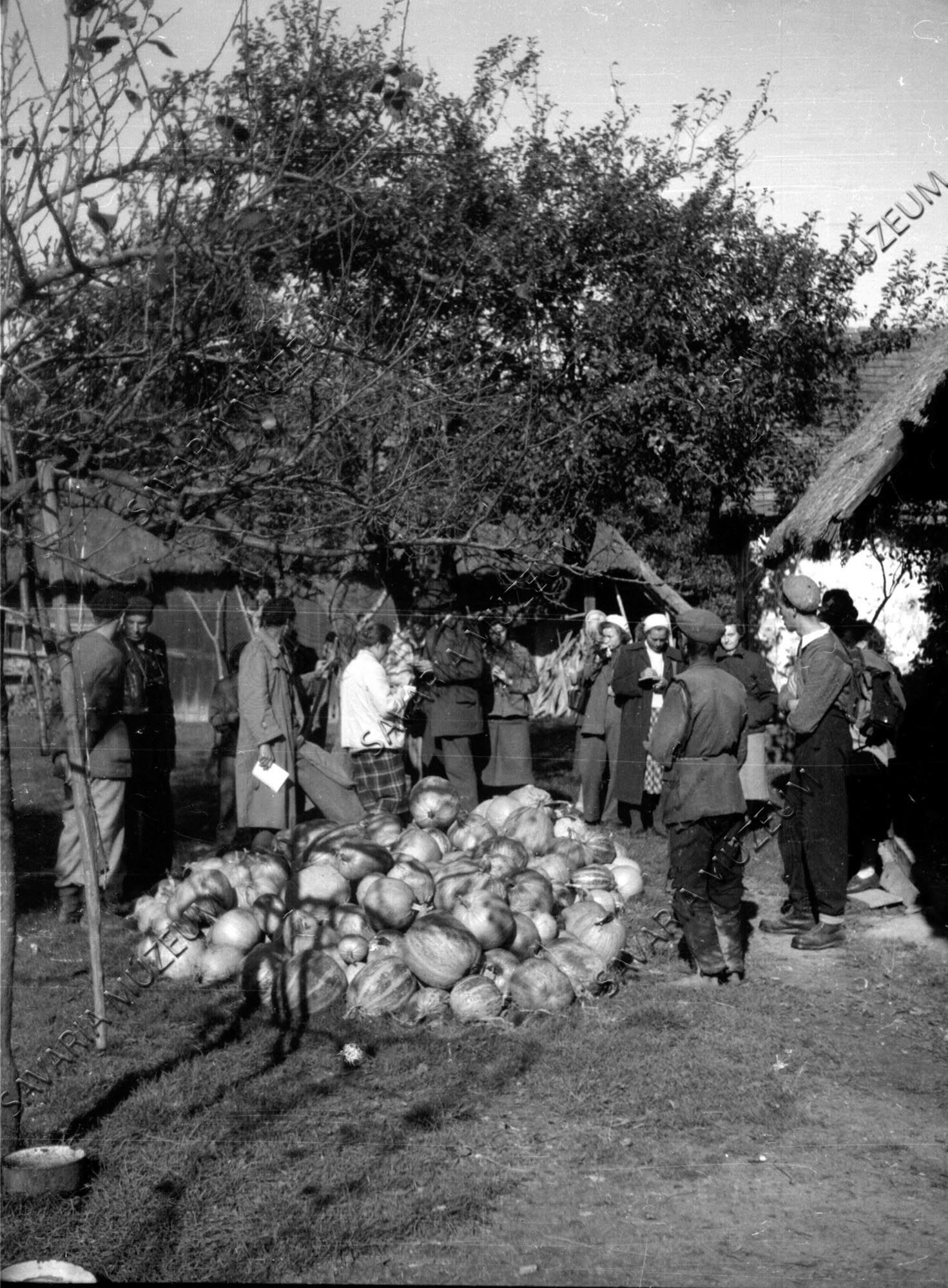 Néprajzi kirándulás (Savaria Megyei Hatókörű Városi Múzeum, Szombathely CC BY-NC-SA)