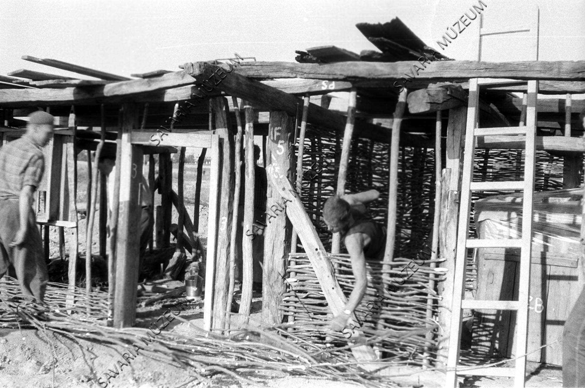 A nemeskoltai ház sövényfalának fonása (Savaria Megyei Hatókörű Városi Múzeum, Szombathely CC BY-NC-SA)