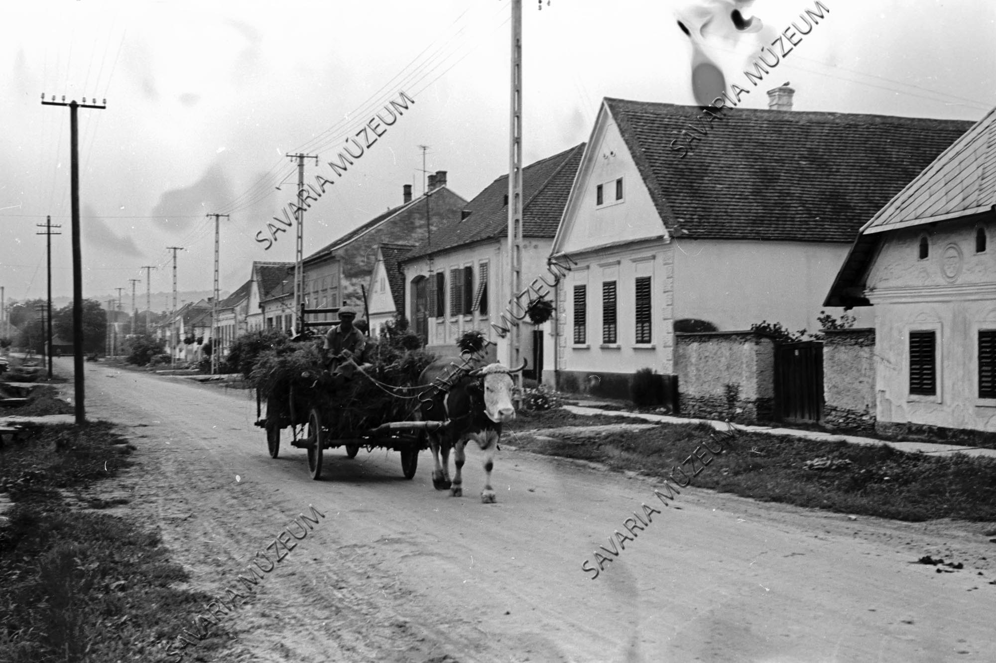 Egyes tehénfogat utcarészlettel (Savaria Megyei Hatókörű Városi Múzeum, Szombathely CC BY-NC-SA)