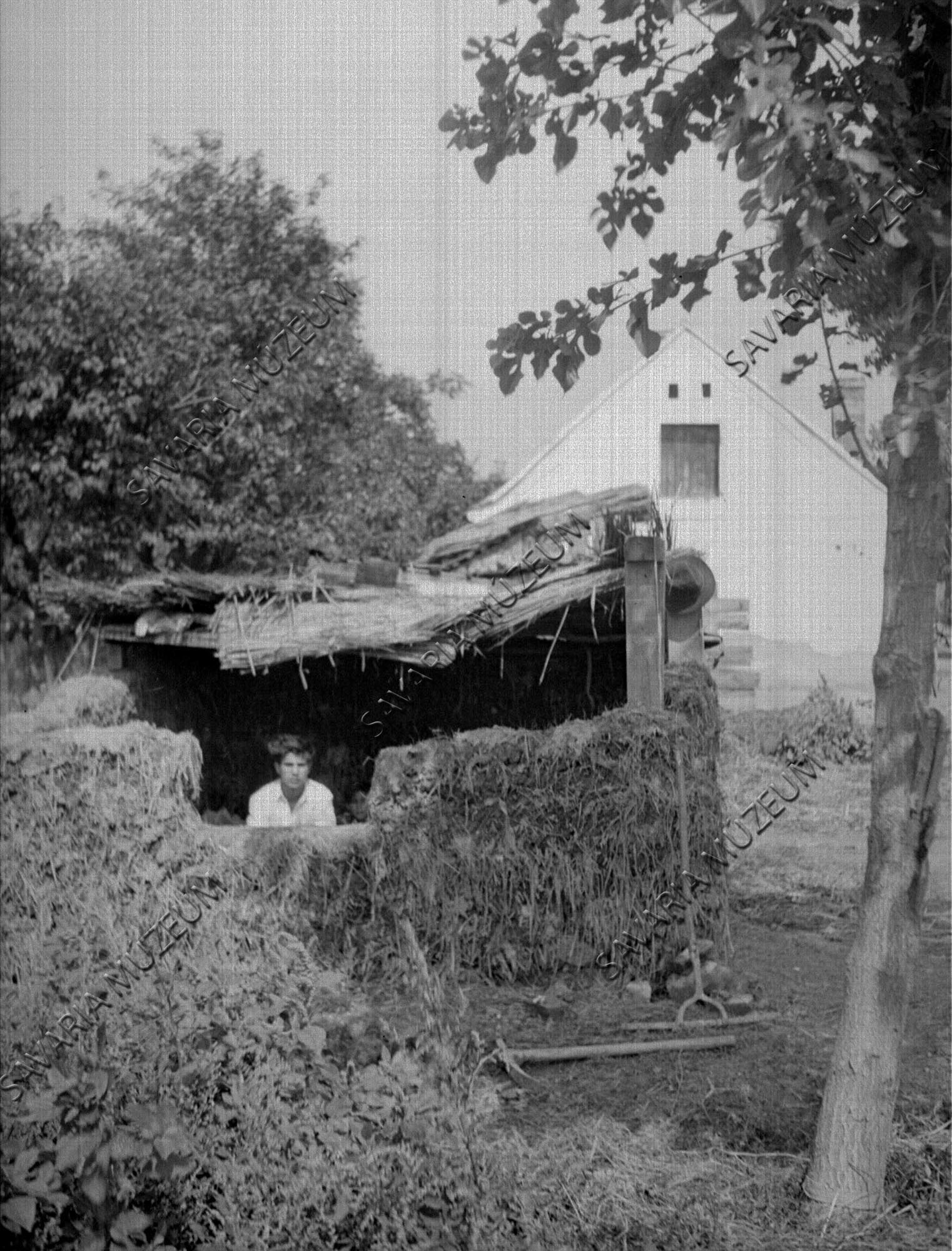 Épülő cigányputri (Savaria Megyei Hatókörű Városi Múzeum, Szombathely CC BY-NC-SA)