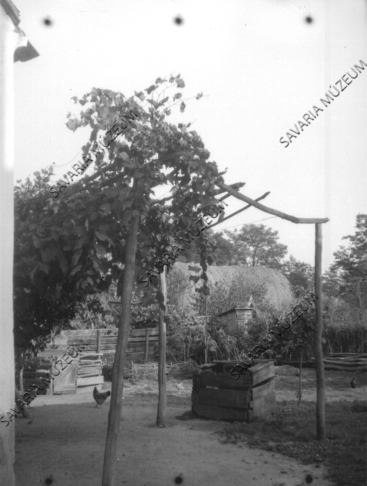 Szőlőlugas, kút (Savaria Megyei Hatókörű Városi Múzeum, Szombathely CC BY-NC-SA)