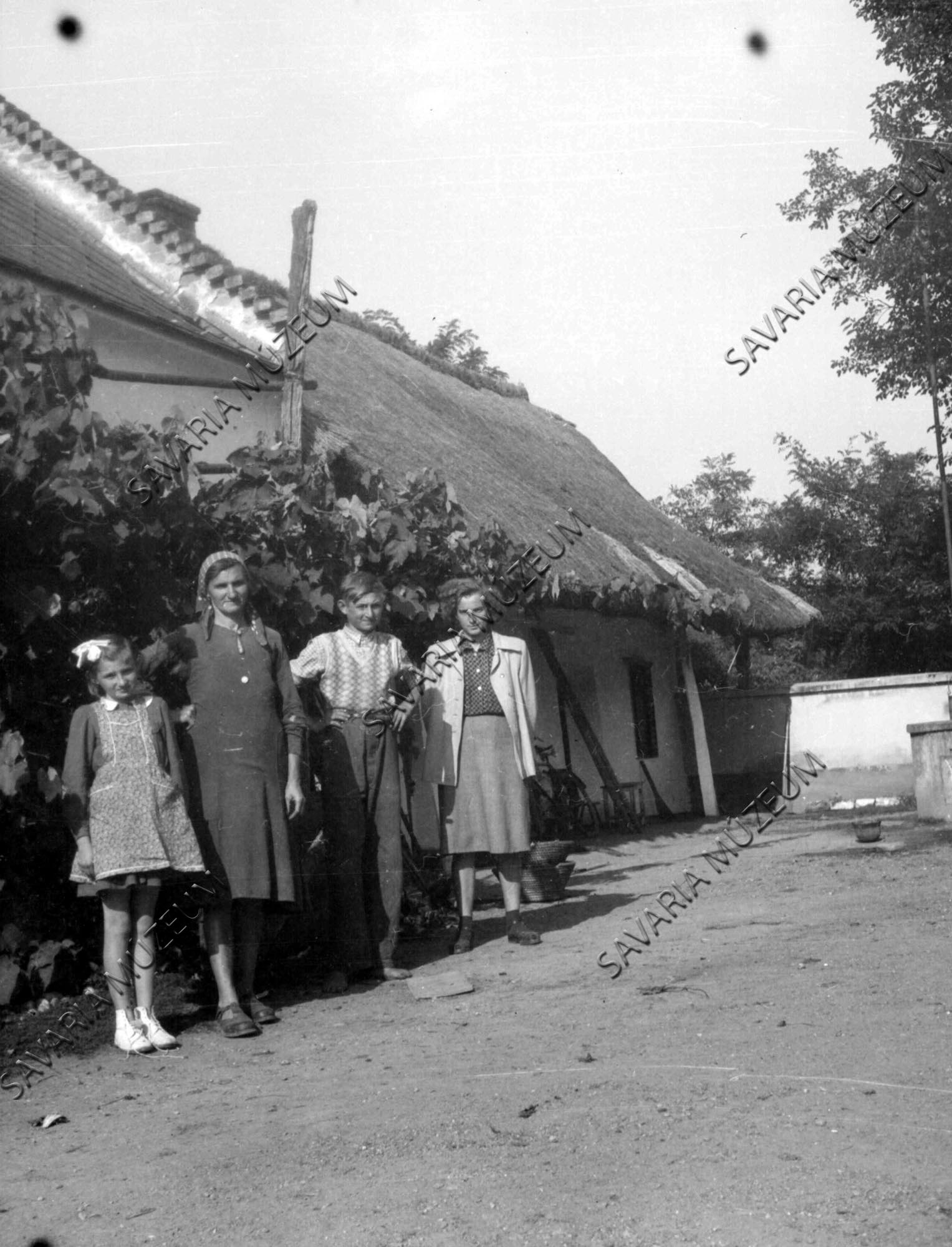 Régi ház lugassal (Savaria Megyei Hatókörű Városi Múzeum, Szombathely CC BY-NC-SA)