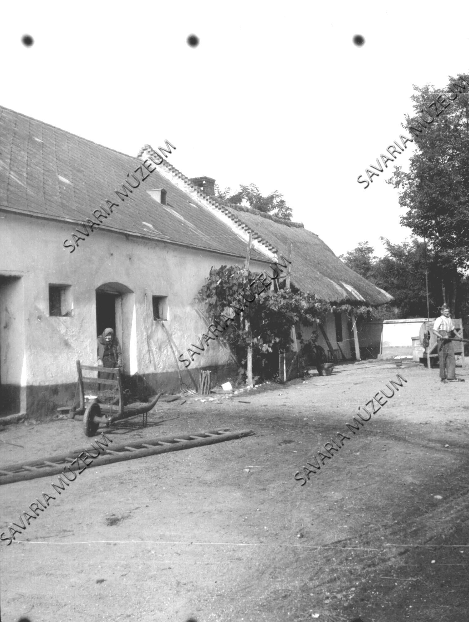 Régi ház, új istálló (Savaria Megyei Hatókörű Városi Múzeum, Szombathely CC BY-NC-SA)