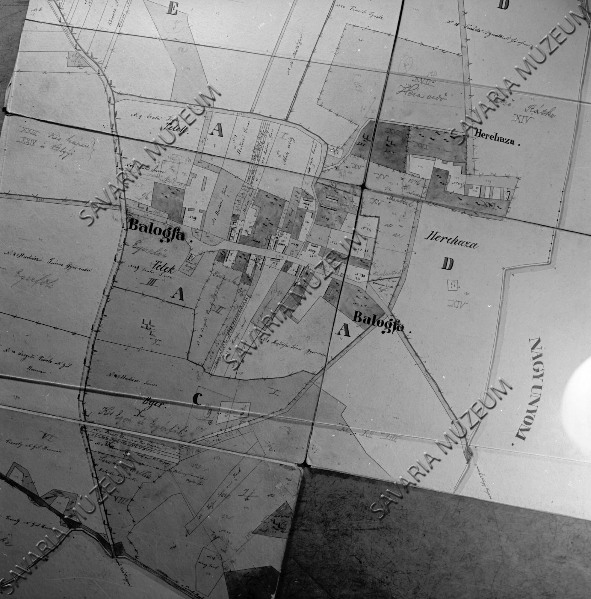 Balogfa kataszteri térképe (Savaria Megyei Hatókörű Városi Múzeum, Szombathely CC BY-NC-SA)