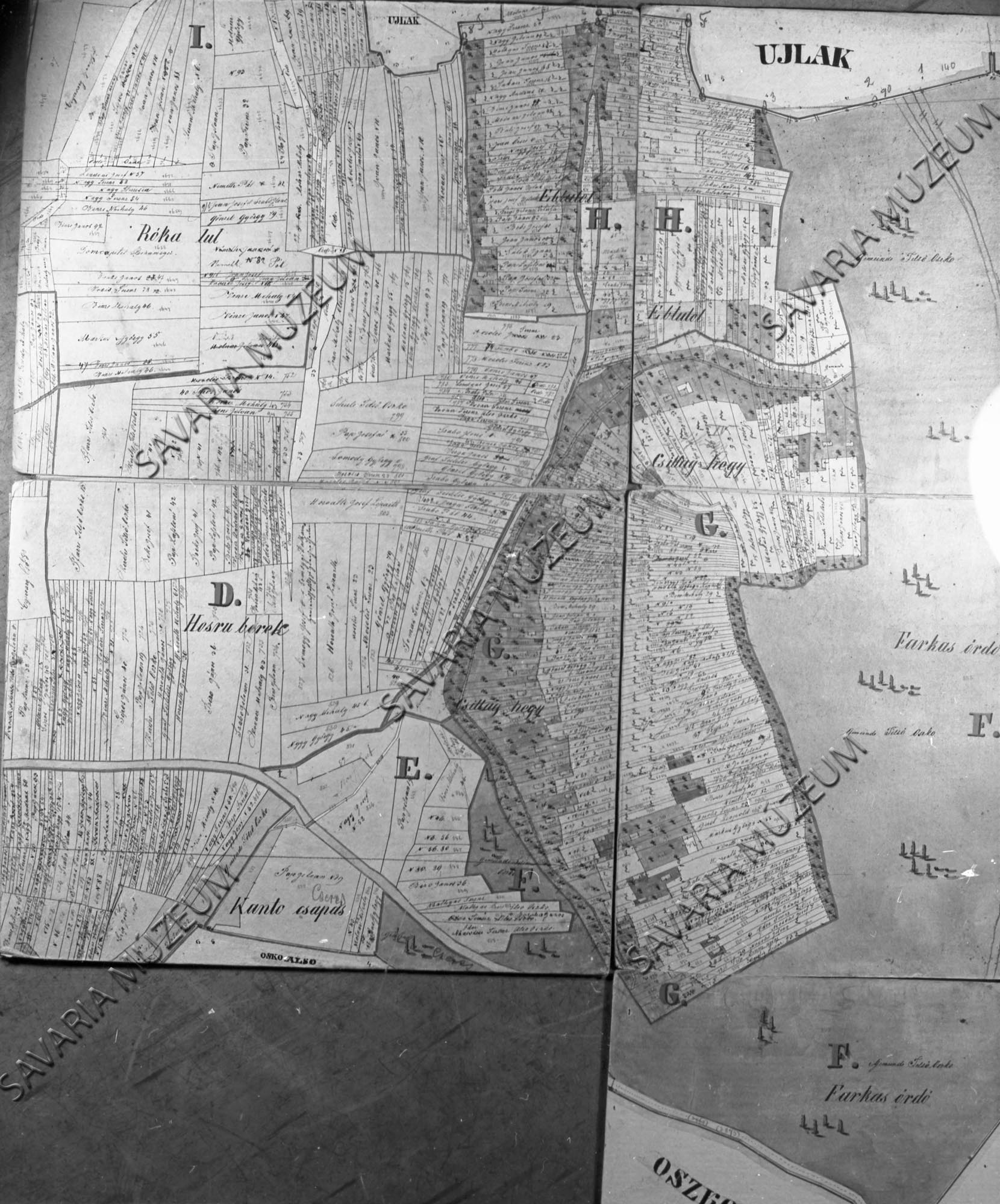 Felsőoszkó hegyének kataszteri térképe (Savaria Megyei Hatókörű Városi Múzeum, Szombathely CC BY-NC-SA)