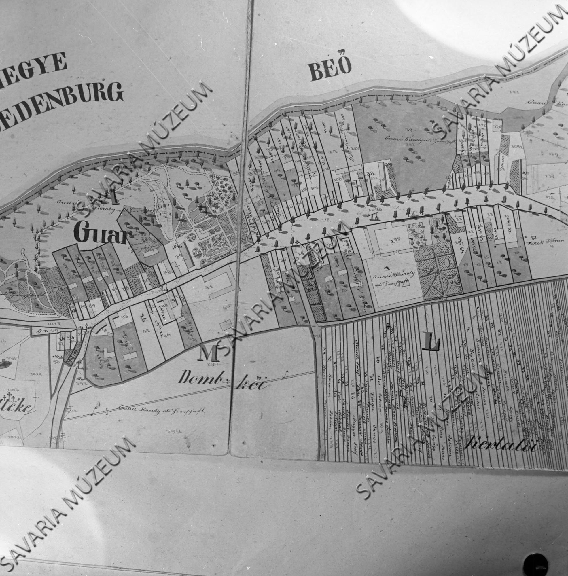 Gór kataszteri térképe (Savaria Megyei Hatókörű Városi Múzeum, Szombathely CC BY-NC-SA)