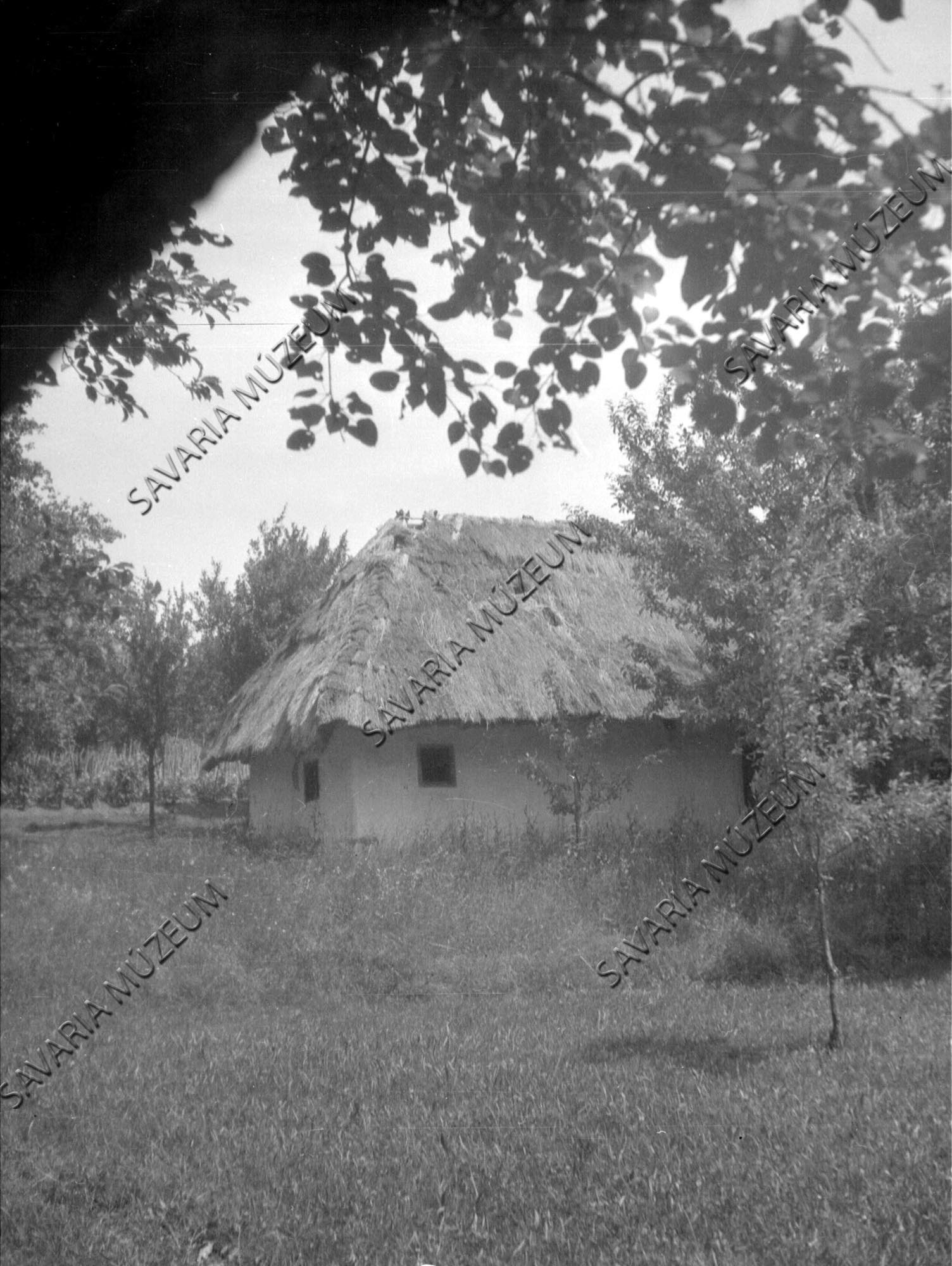 Régi omladozó pince (Savaria Megyei Hatókörű Városi Múzeum, Szombathely CC BY-NC-SA)