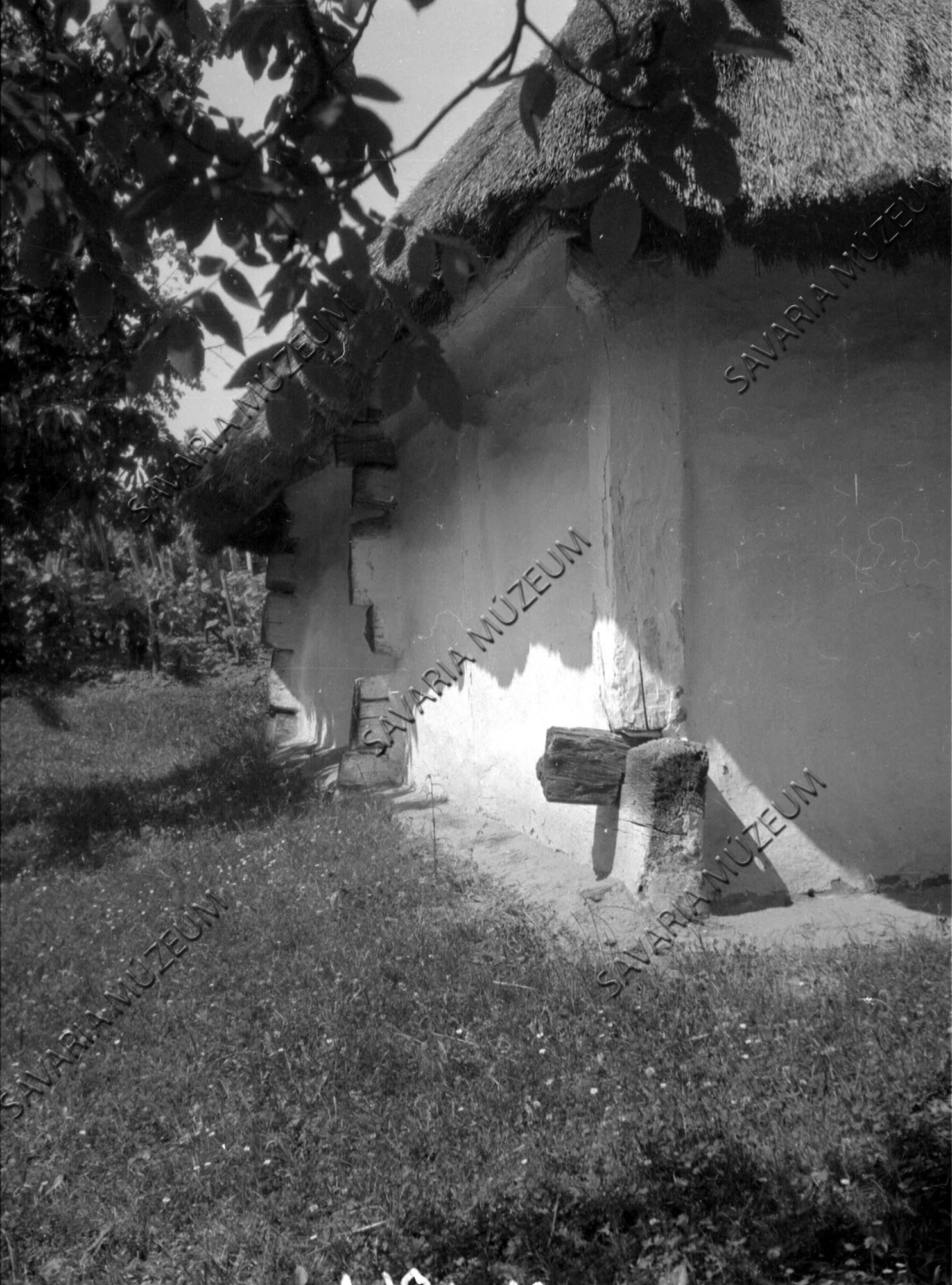 Régi pince boronafái (Savaria Megyei Hatókörű Városi Múzeum, Szombathely CC BY-NC-SA)