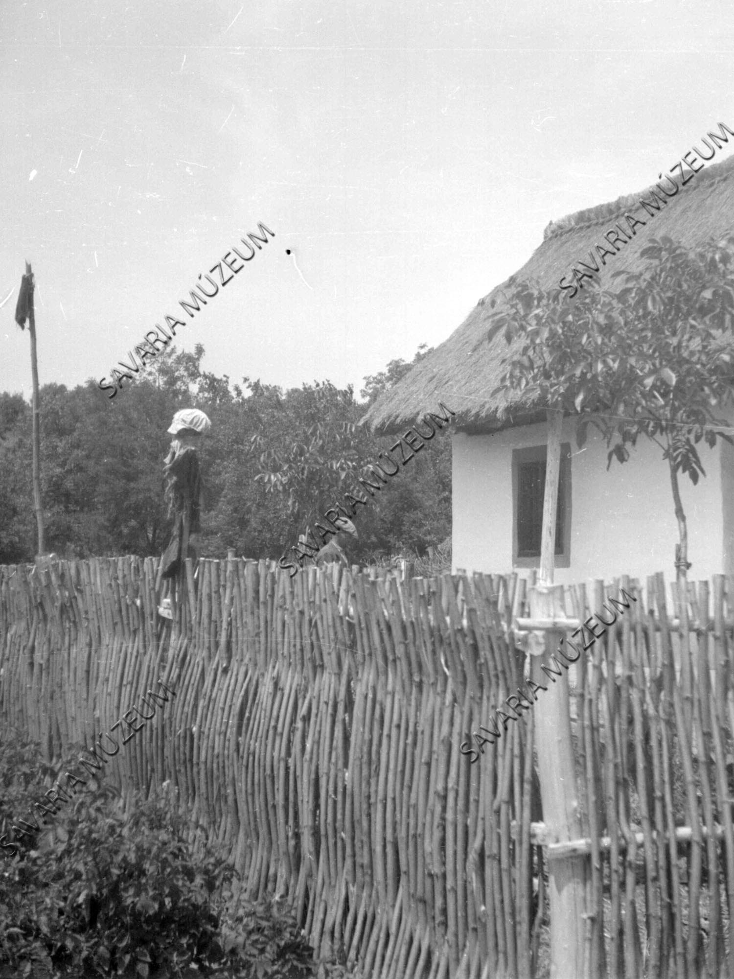 Fonott kerítés madárijesztővel (Savaria Megyei Hatókörű Városi Múzeum, Szombathely CC BY-NC-SA)