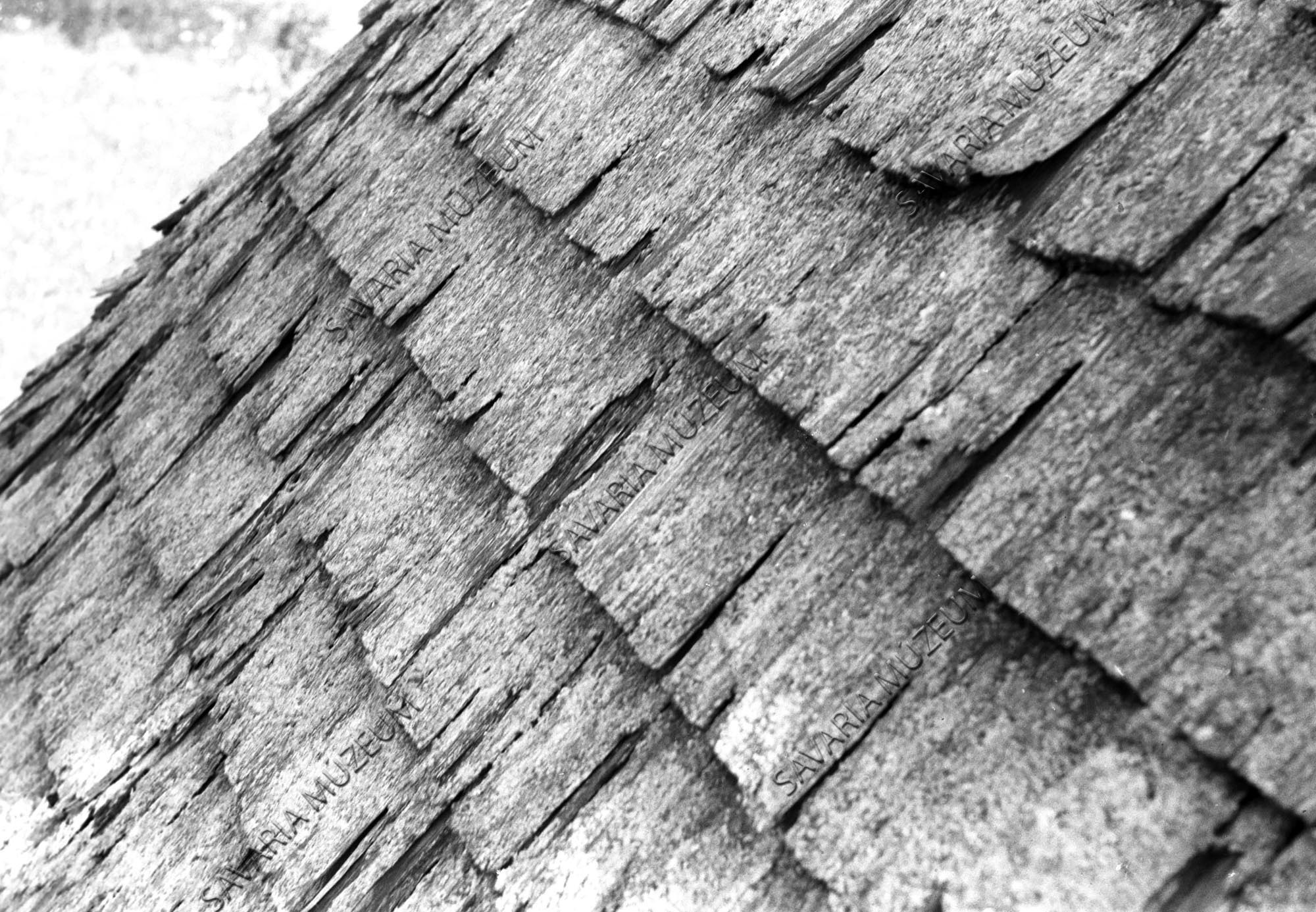 Harangláb fazsindelye (Savaria Megyei Hatókörű Városi Múzeum, Szombathely CC BY-NC-SA)