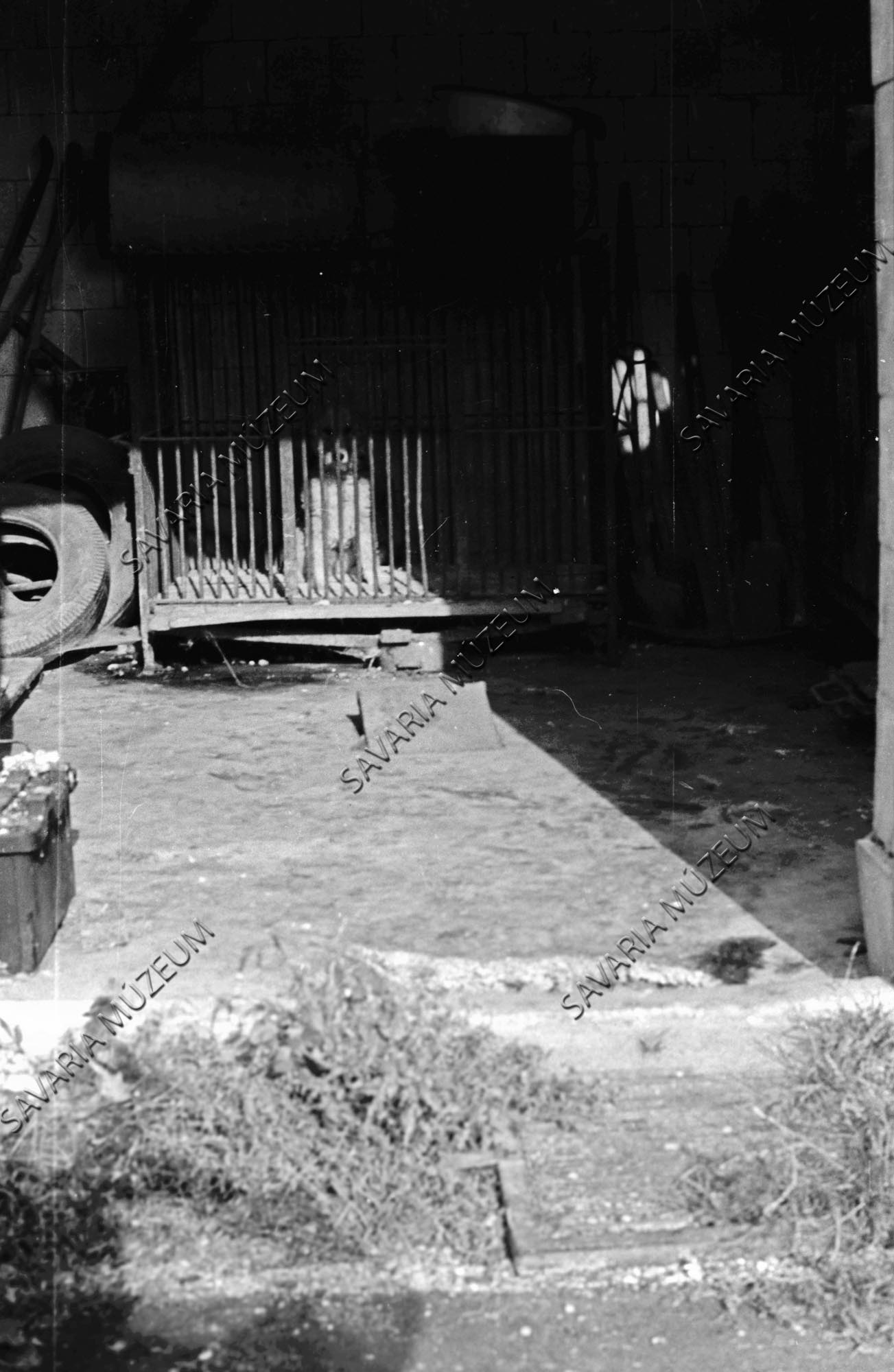 Gyepmester kutyatároló helye (Savaria Megyei Hatókörű Városi Múzeum, Szombathely CC BY-NC-SA)