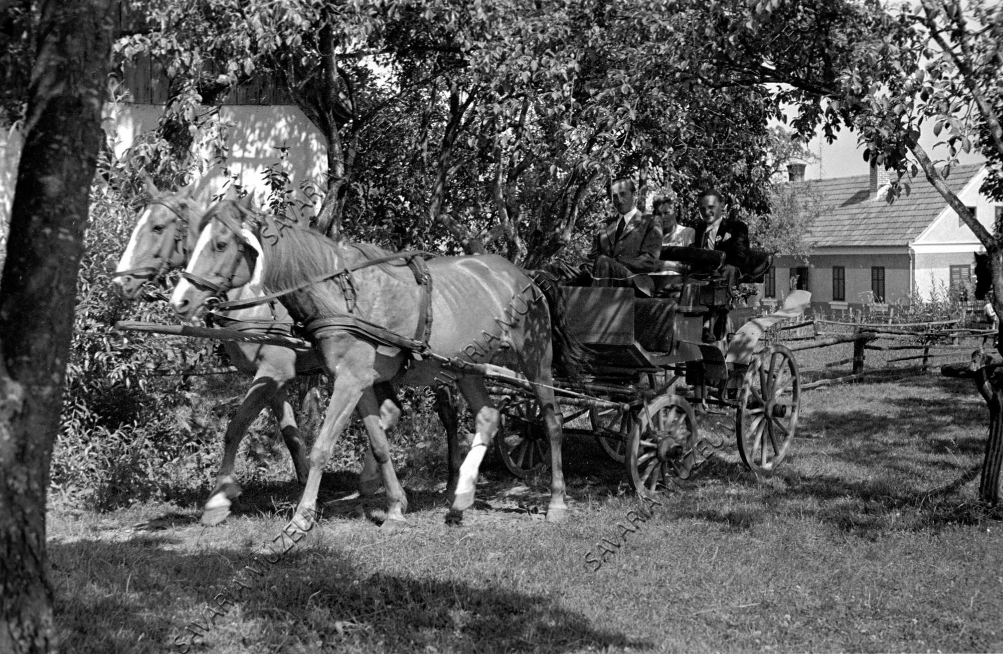 Lakodalmas kocsi (Savaria Megyei Hatókörű Városi Múzeum, Szombathely CC BY-NC-SA)