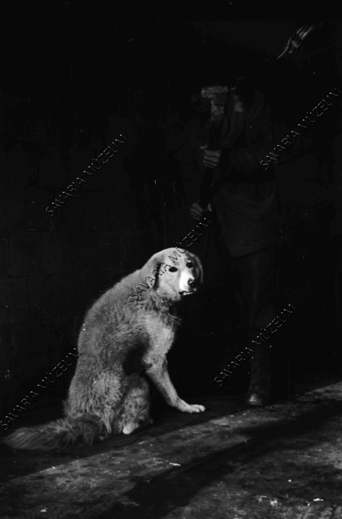 Gyepmester kutyát taglóz (Savaria Megyei Hatókörű Városi Múzeum, Szombathely CC BY-NC-SA)