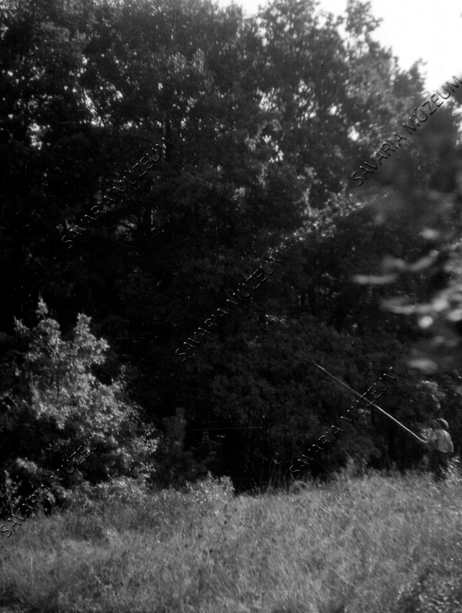 Makk leverése póznával (Savaria Megyei Hatókörű Városi Múzeum, Szombathely CC BY-NC-SA)