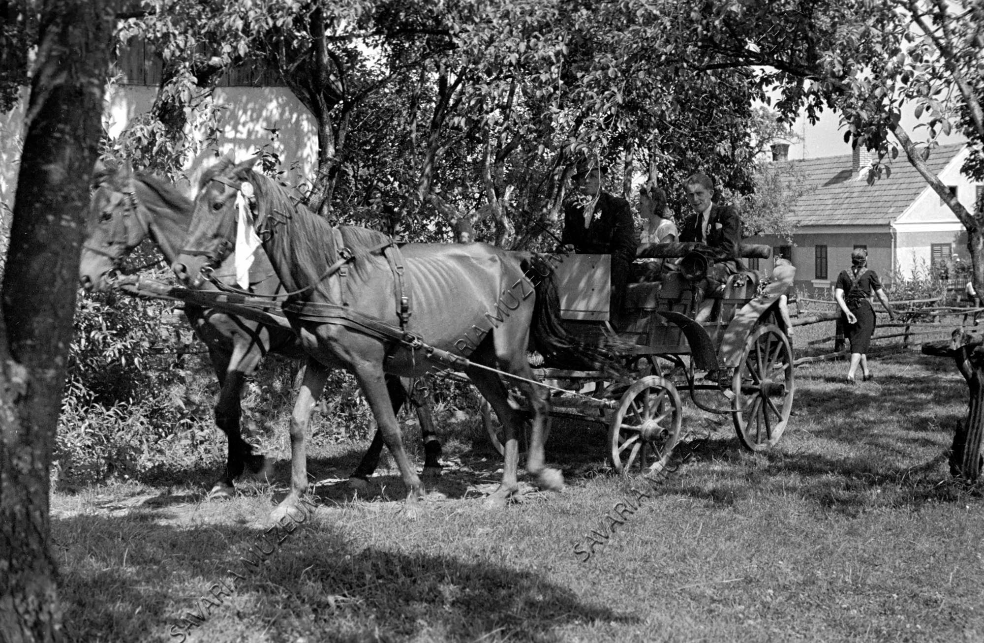 Lakodalmas kocsi (Savaria Megyei Hatókörű Városi Múzeum, Szombathely CC BY-NC-SA)