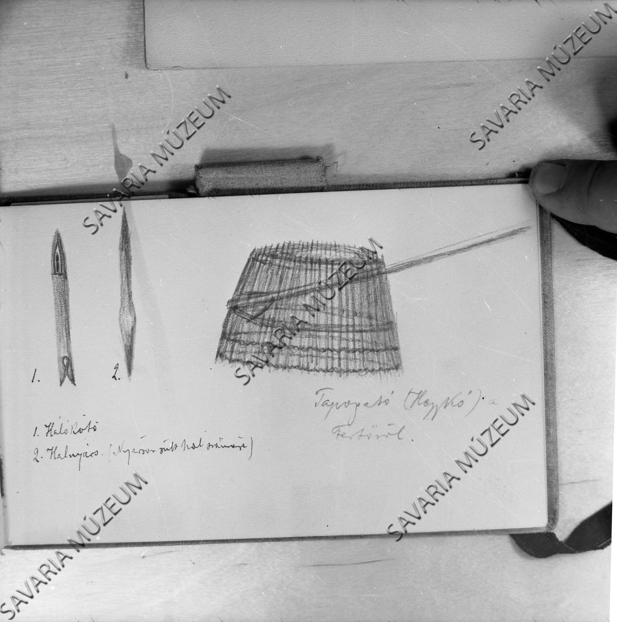 Tapogató, hálókötőtű és halnyárs rajza (Savaria Megyei Hatókörű Városi Múzeum, Szombathely CC BY-NC-SA)