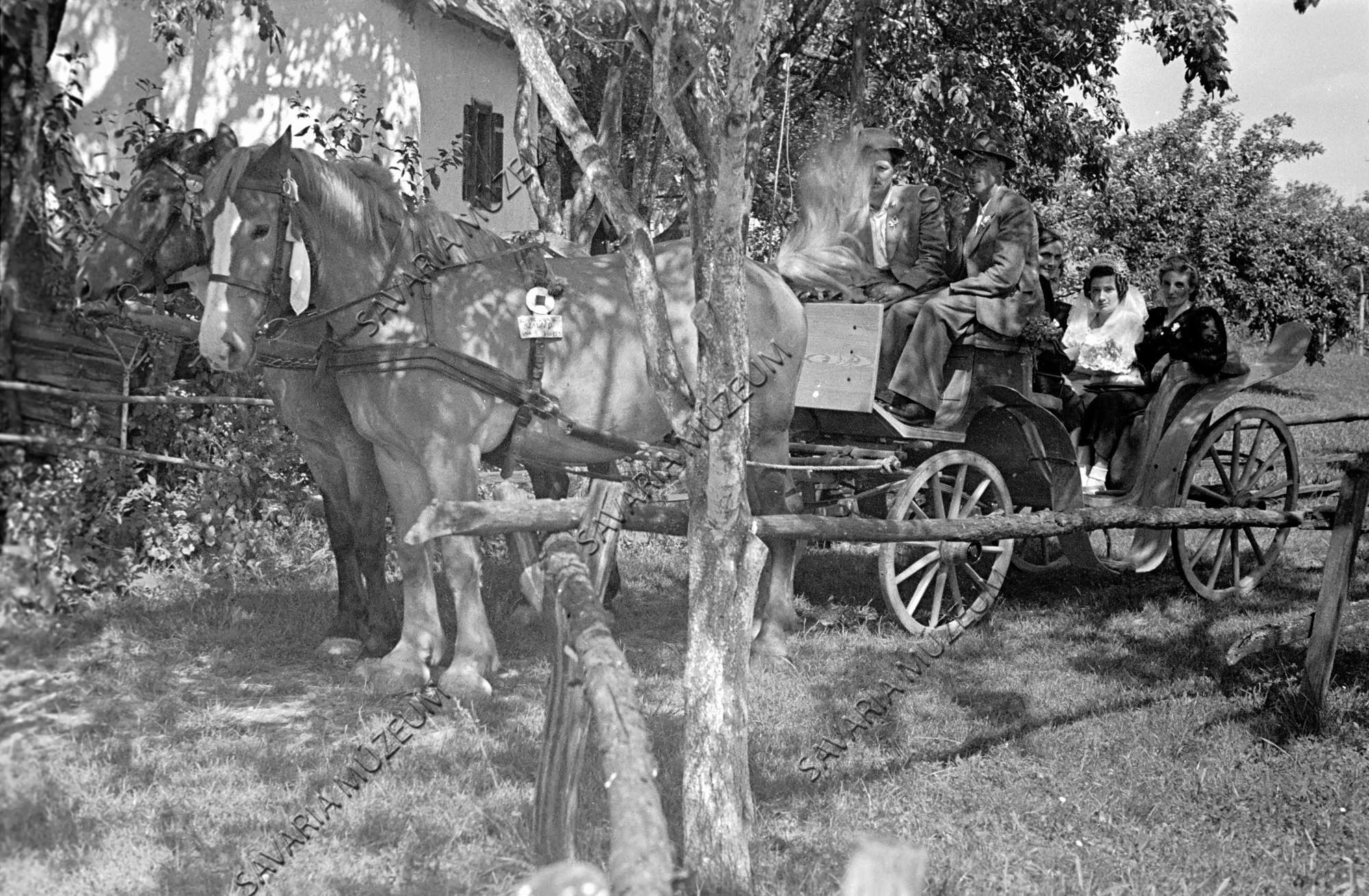 Lakodalmas "első kocsi" (Savaria Megyei Hatókörű Városi Múzeum, Szombathely CC BY-NC-SA)