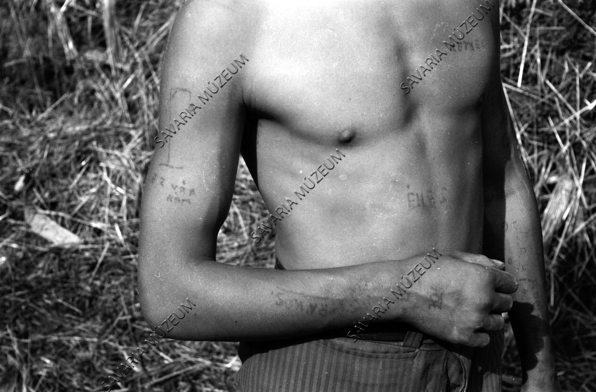 Tetovált cigánylegény (Savaria Megyei Hatókörű Városi Múzeum, Szombathely CC BY-NC-SA)