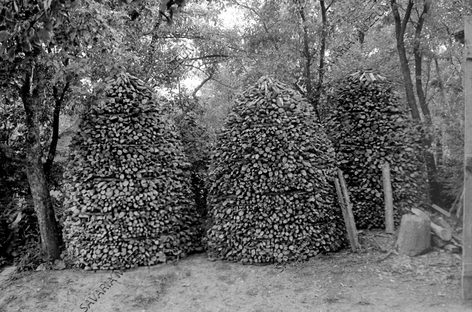 Összerakott vágottfa (Savaria Megyei Hatókörű Városi Múzeum, Szombathely CC BY-NC-SA)