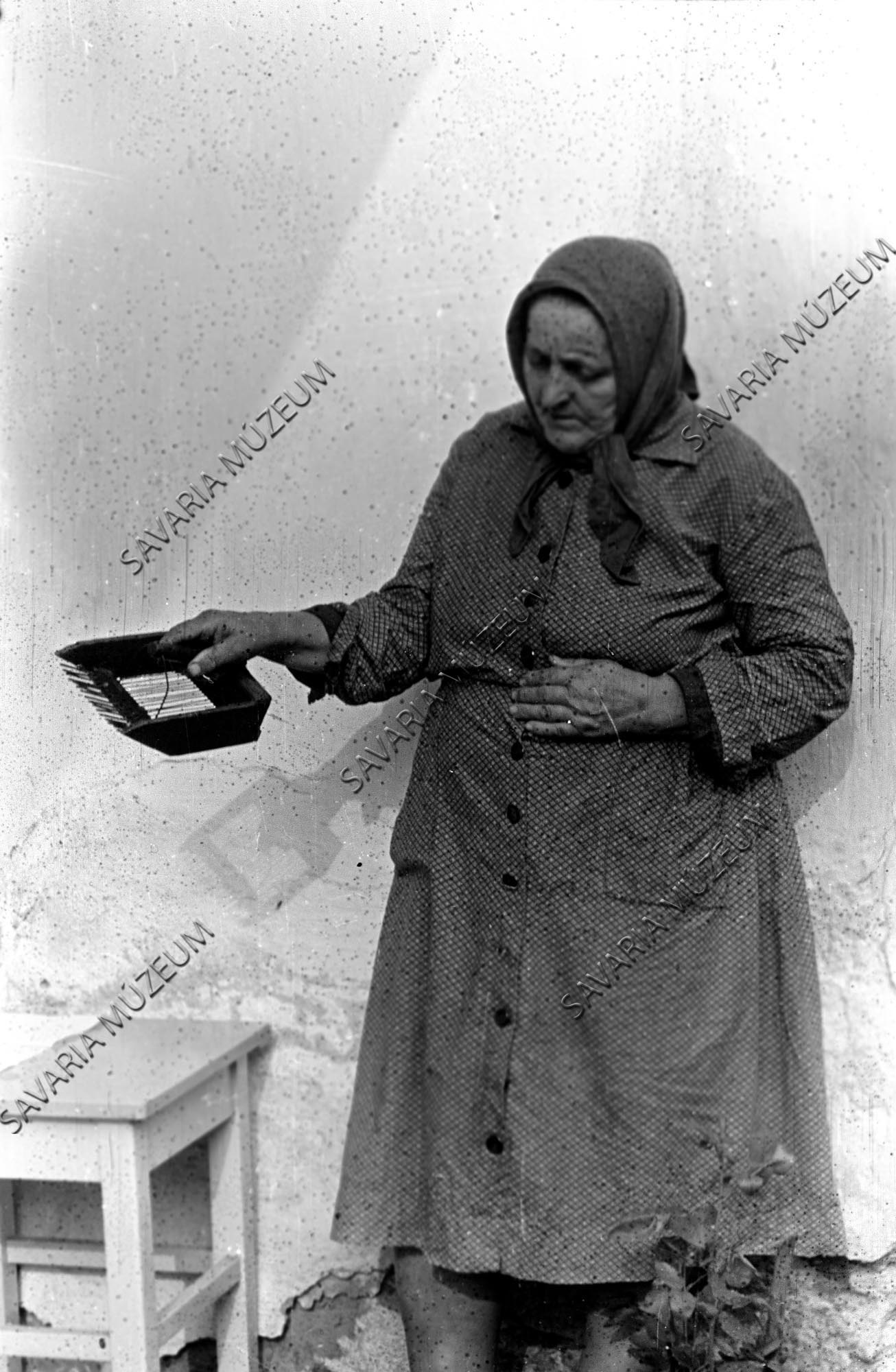 Asszony áfonyaszedővel (Savaria Megyei Hatókörű Városi Múzeum, Szombathely CC BY-NC-SA)