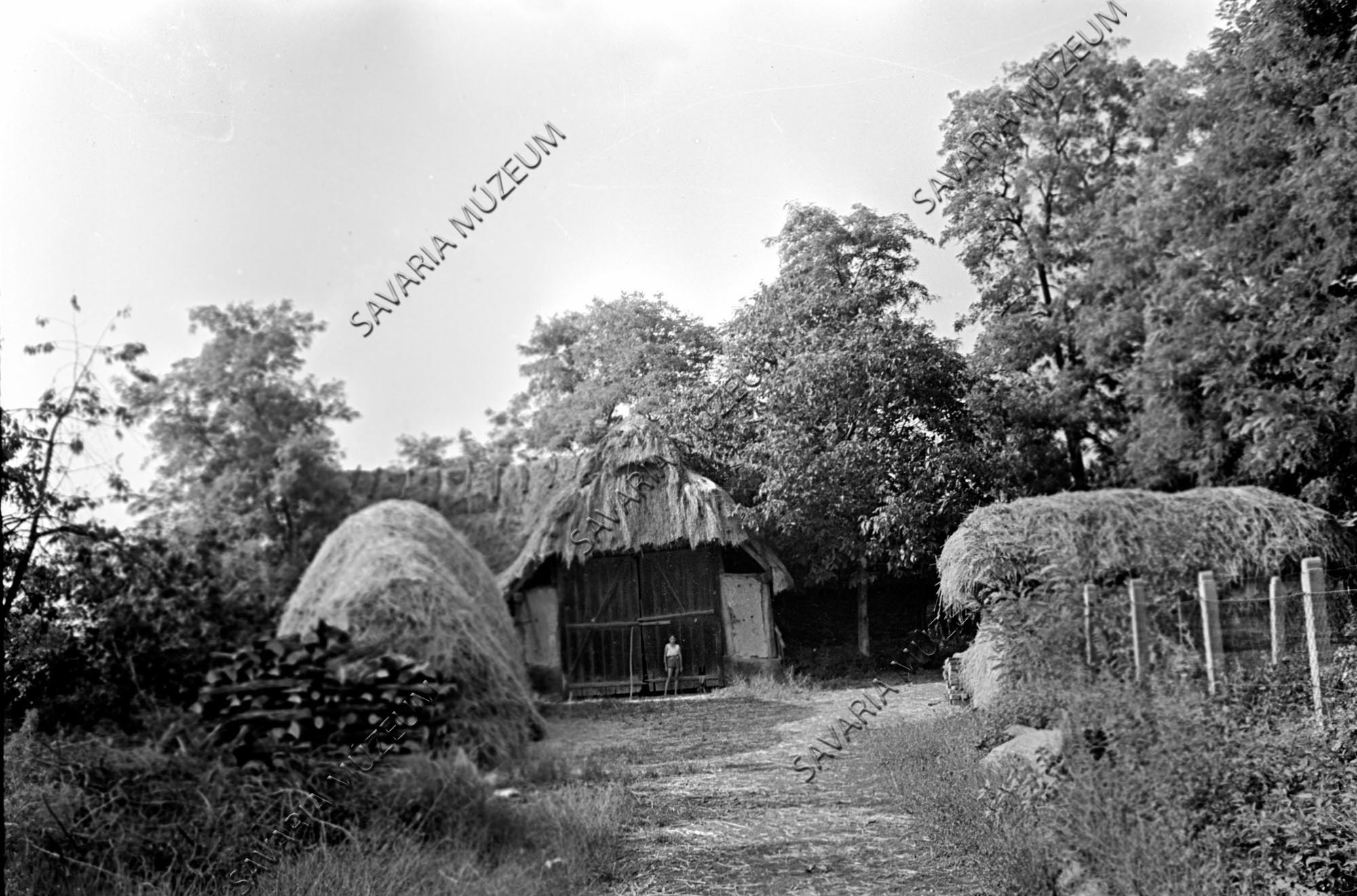 Pajta, kazal (Savaria Megyei Hatókörű Városi Múzeum, Szombathely CC BY-NC-SA)