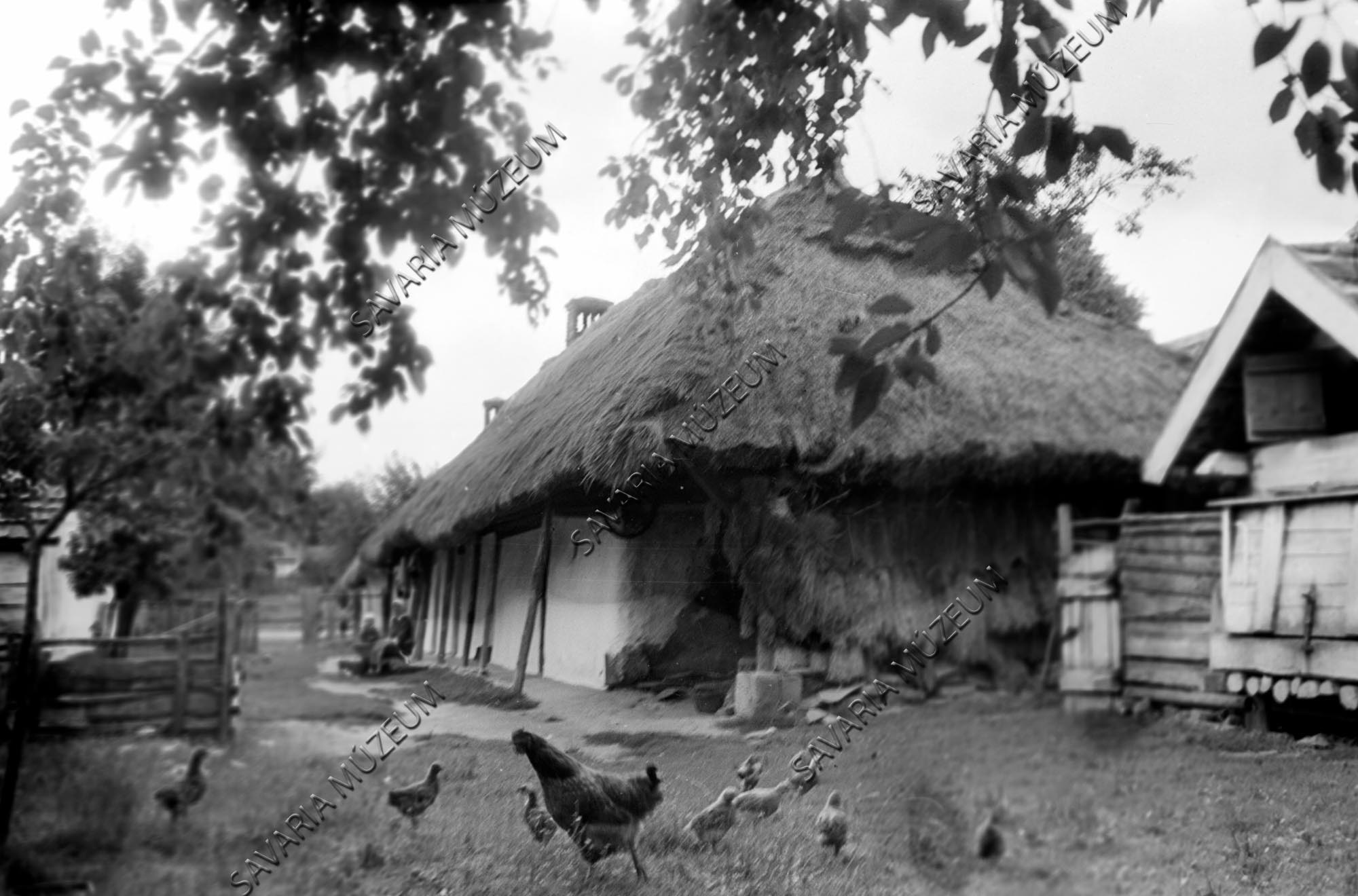 Ház udvar felől és ól (Savaria Megyei Hatókörű Városi Múzeum, Szombathely CC BY-NC-SA)