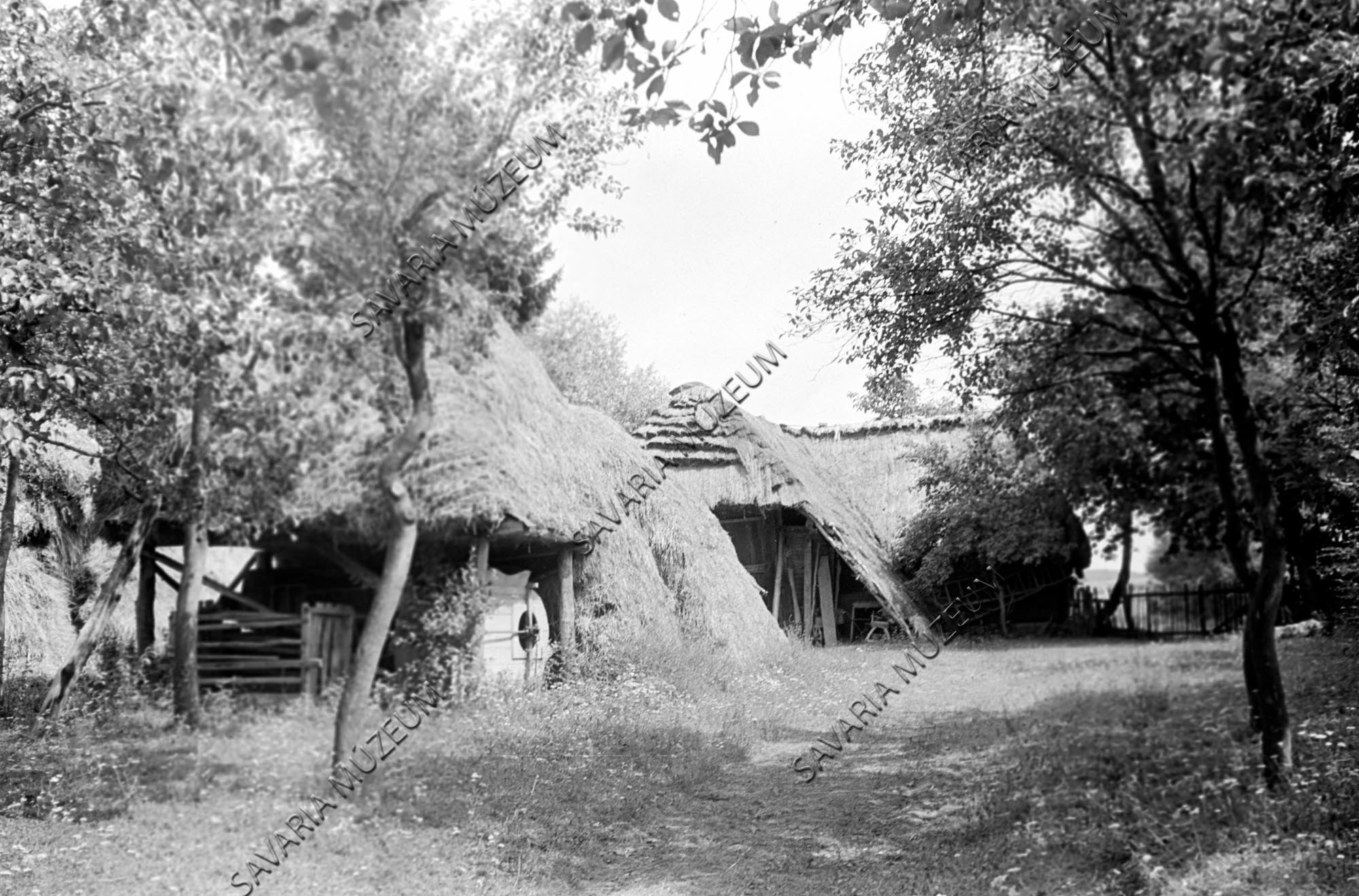 Pajta, kazal (Savaria Megyei Hatókörű Városi Múzeum, Szombathely CC BY-NC-SA)