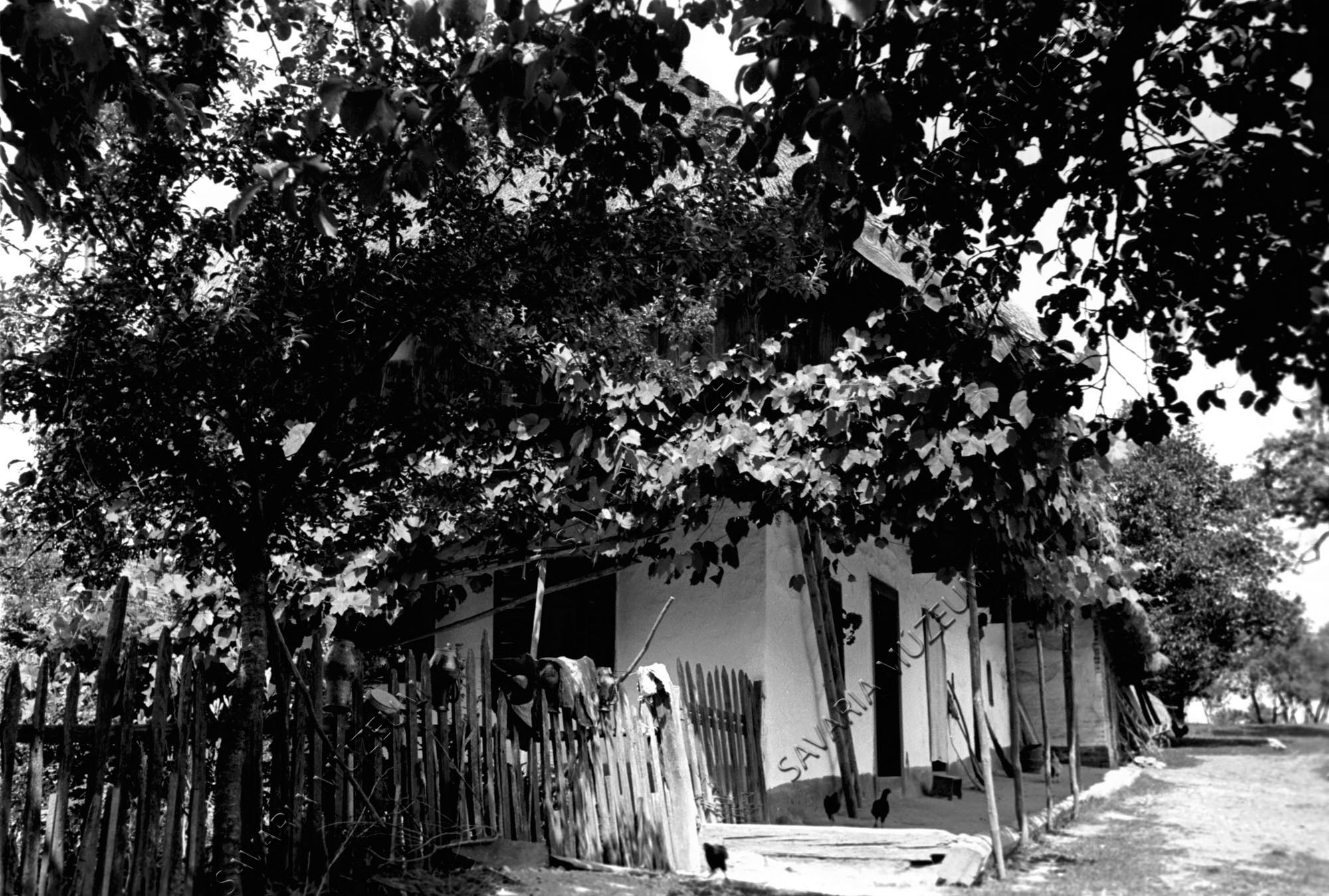 Csoborék háza (Savaria Megyei Hatókörű Városi Múzeum, Szombathely CC BY-NC-SA)