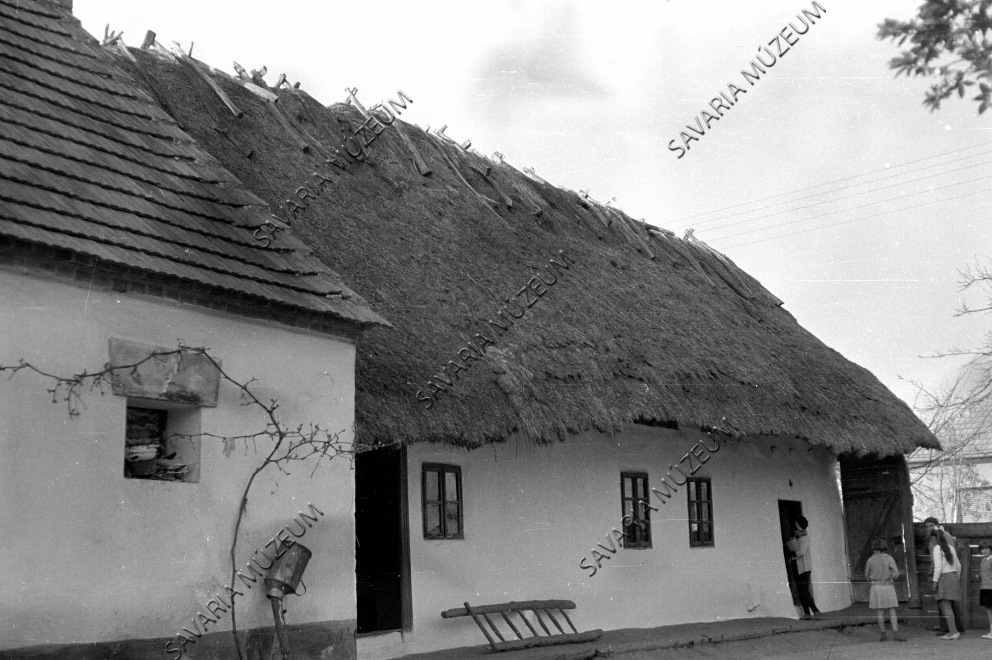 Ház udvar felől, létra, tejeskanna (Savaria Megyei Hatókörű Városi Múzeum, Szombathely CC BY-NC-SA)