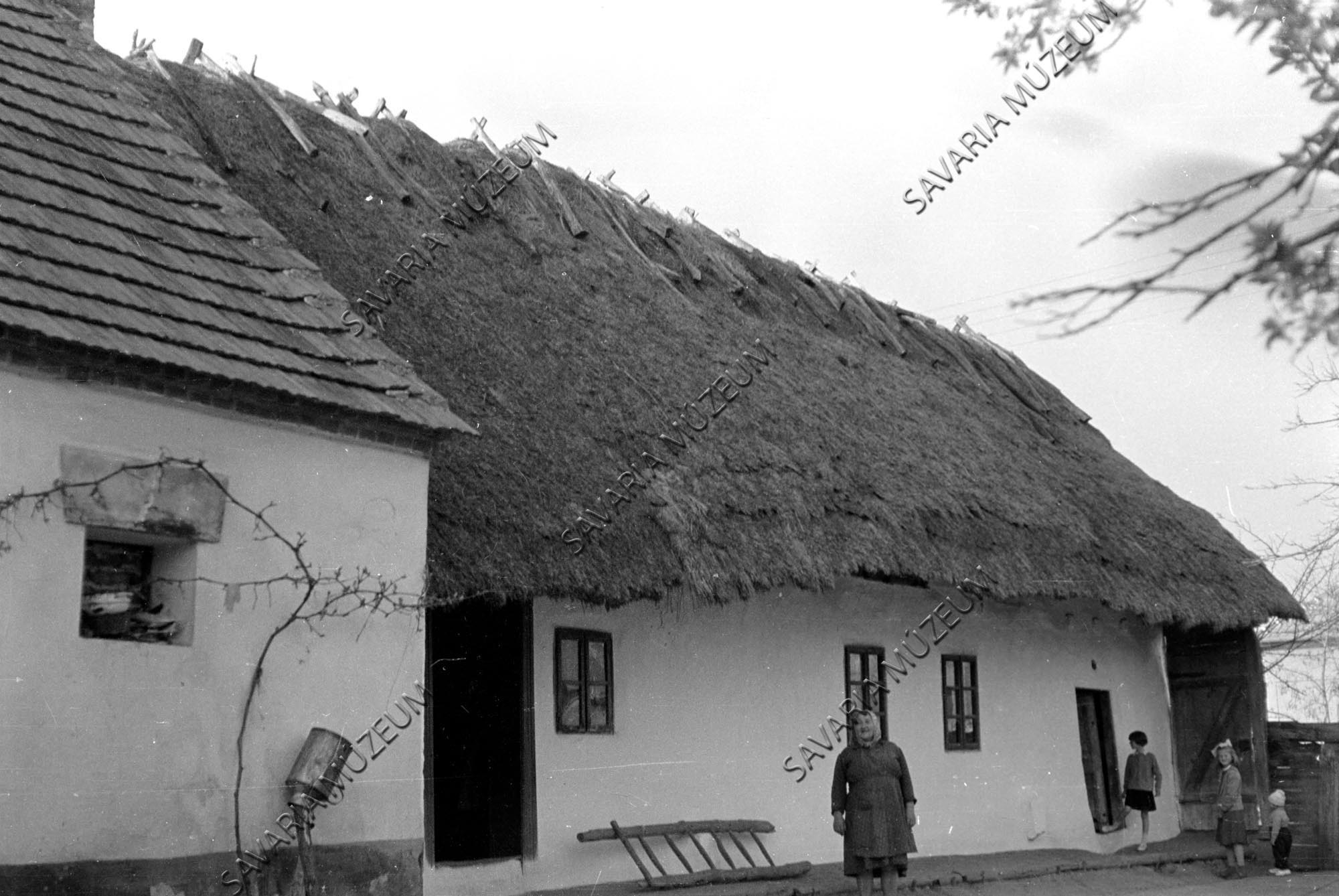 Ház udvar felől, létra, tejeskanna (Savaria Megyei Hatókörű Városi Múzeum, Szombathely CC BY-NC-SA)