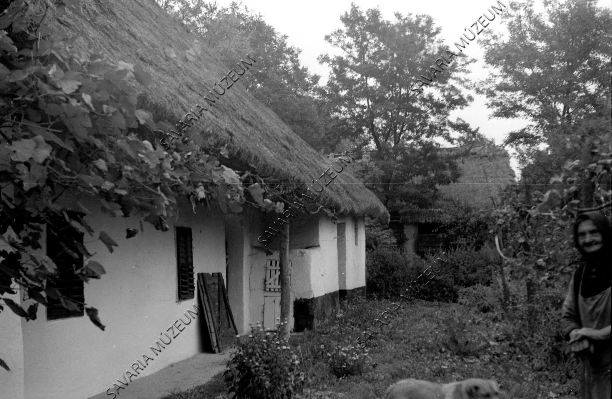 Ház és pajtarészlet (Savaria Megyei Hatókörű Városi Múzeum, Szombathely CC BY-NC-SA)