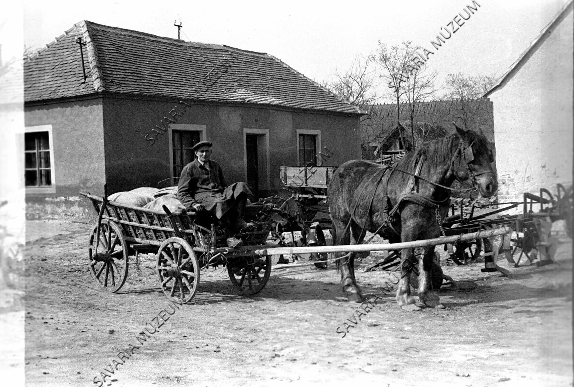 Lovaskocsi kocsikassal (Savaria Megyei Hatókörű Városi Múzeum, Szombathely CC BY-NC-SA)