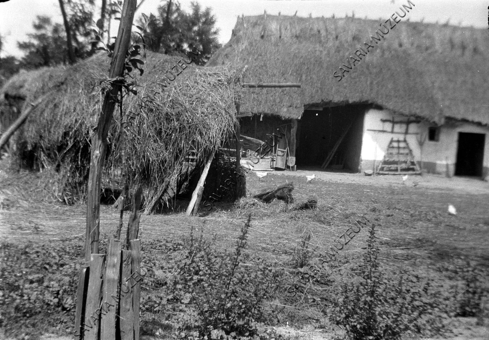 Pelvakunyhó üresen (Savaria Megyei Hatókörű Városi Múzeum, Szombathely CC BY-NC-SA)