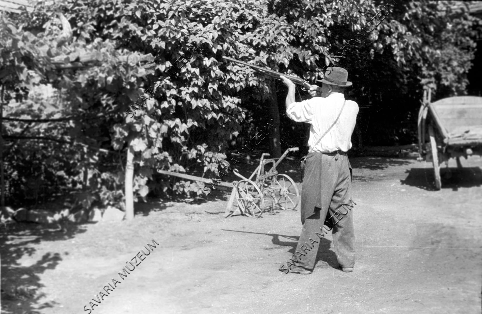 Férfi puskával és eke taligával (Savaria Megyei Hatókörű Városi Múzeum, Szombathely CC BY-NC-SA)