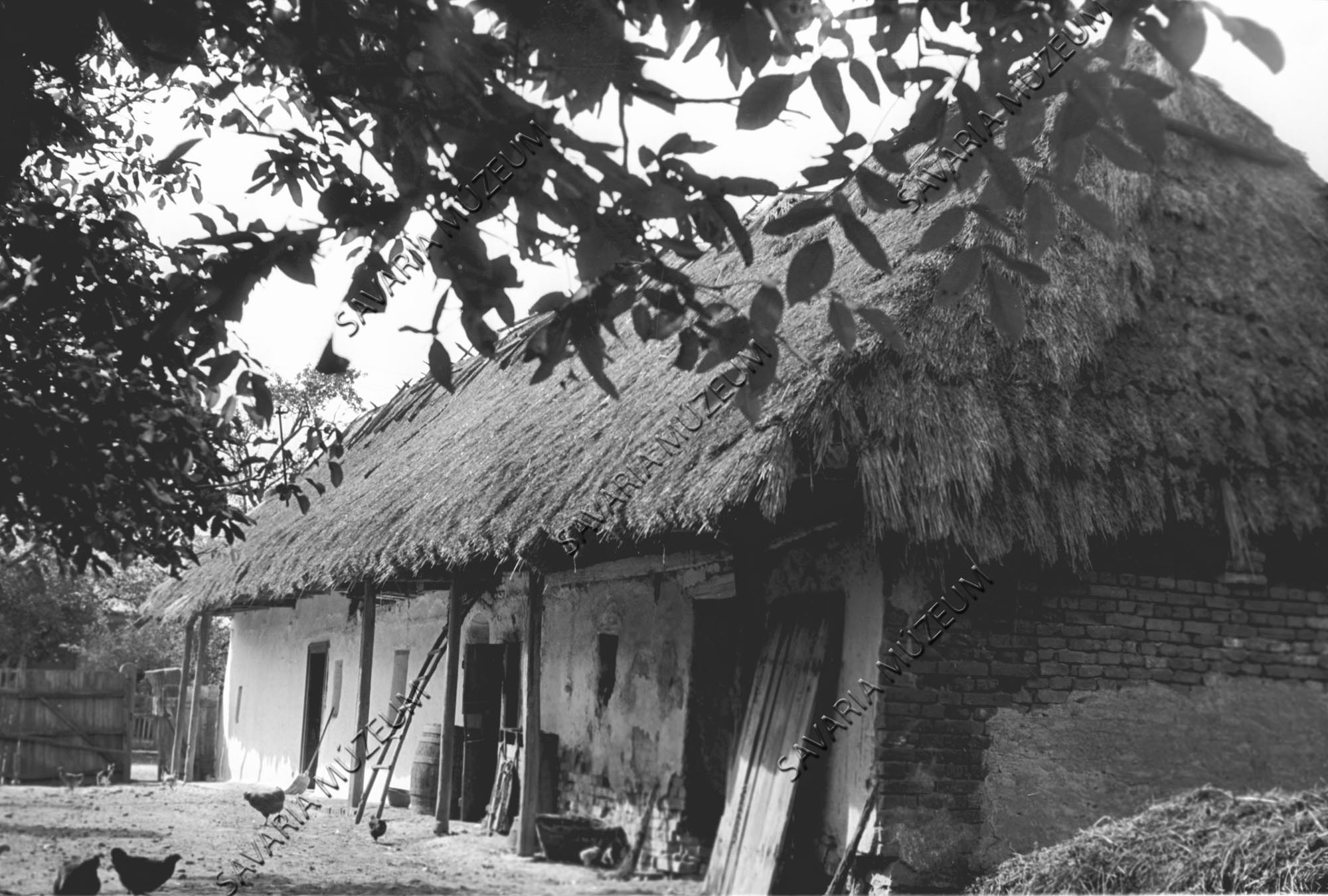 Házak az udvarban (Savaria Megyei Hatókörű Városi Múzeum, Szombathely CC BY-NC-SA)