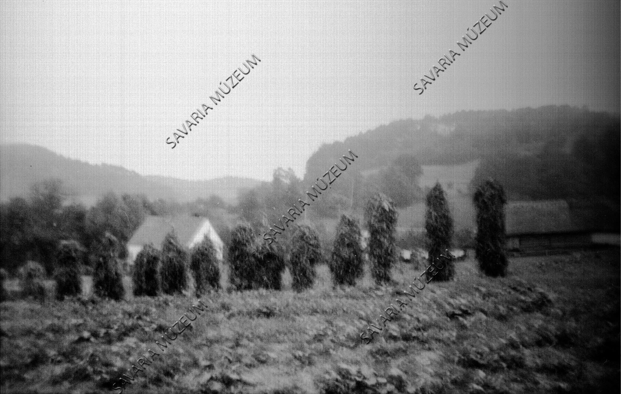 Babtartórudak a mezőn (Savaria Megyei Hatókörű Városi Múzeum, Szombathely CC BY-NC-SA)