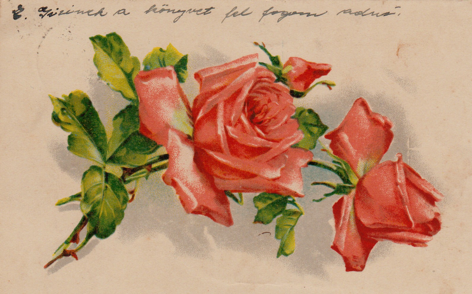 Üdvözlő képeslap (Tapolcai Városi Múzeum CC BY-NC-SA)