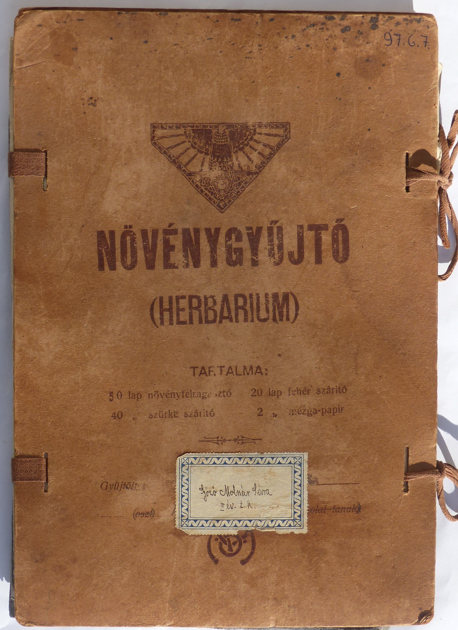 Növénygyűjtő album (Tapolcai Városi Múzeum CC BY-NC-SA)