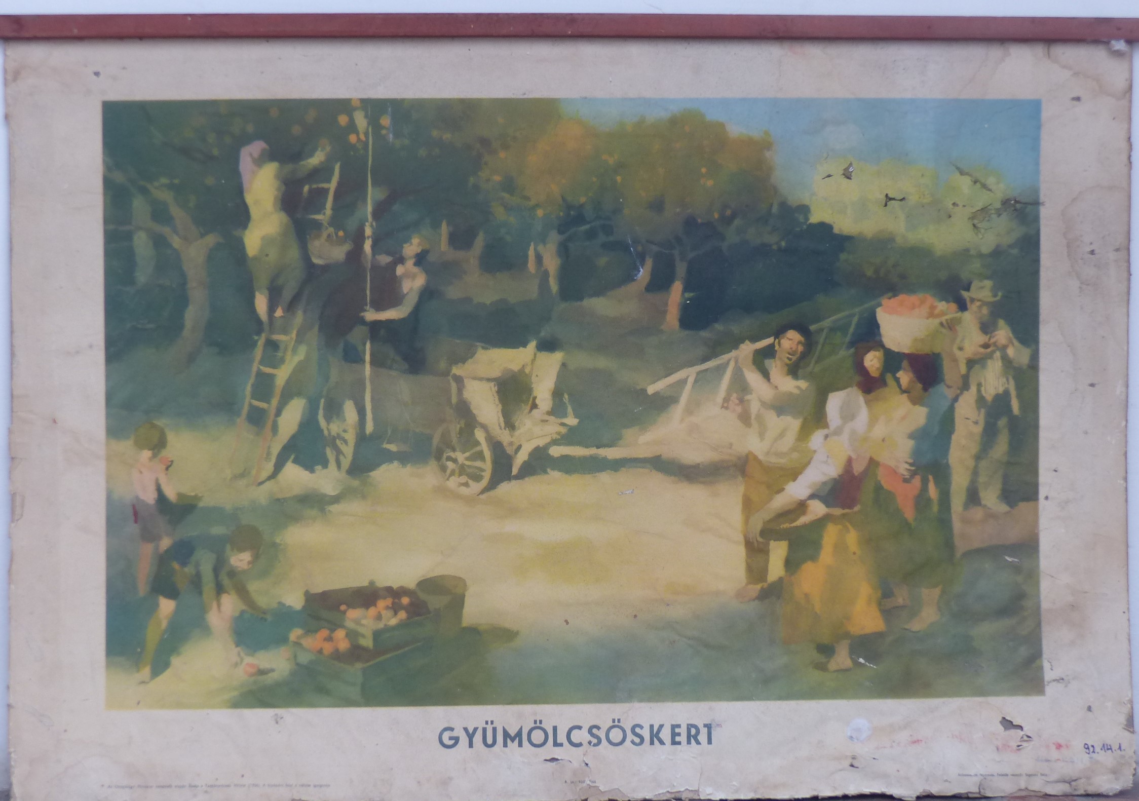 Iskolai szemléltető falikép. Gyümölcsöskert (Tapolcai Városi Múzeum CC BY-NC-SA)