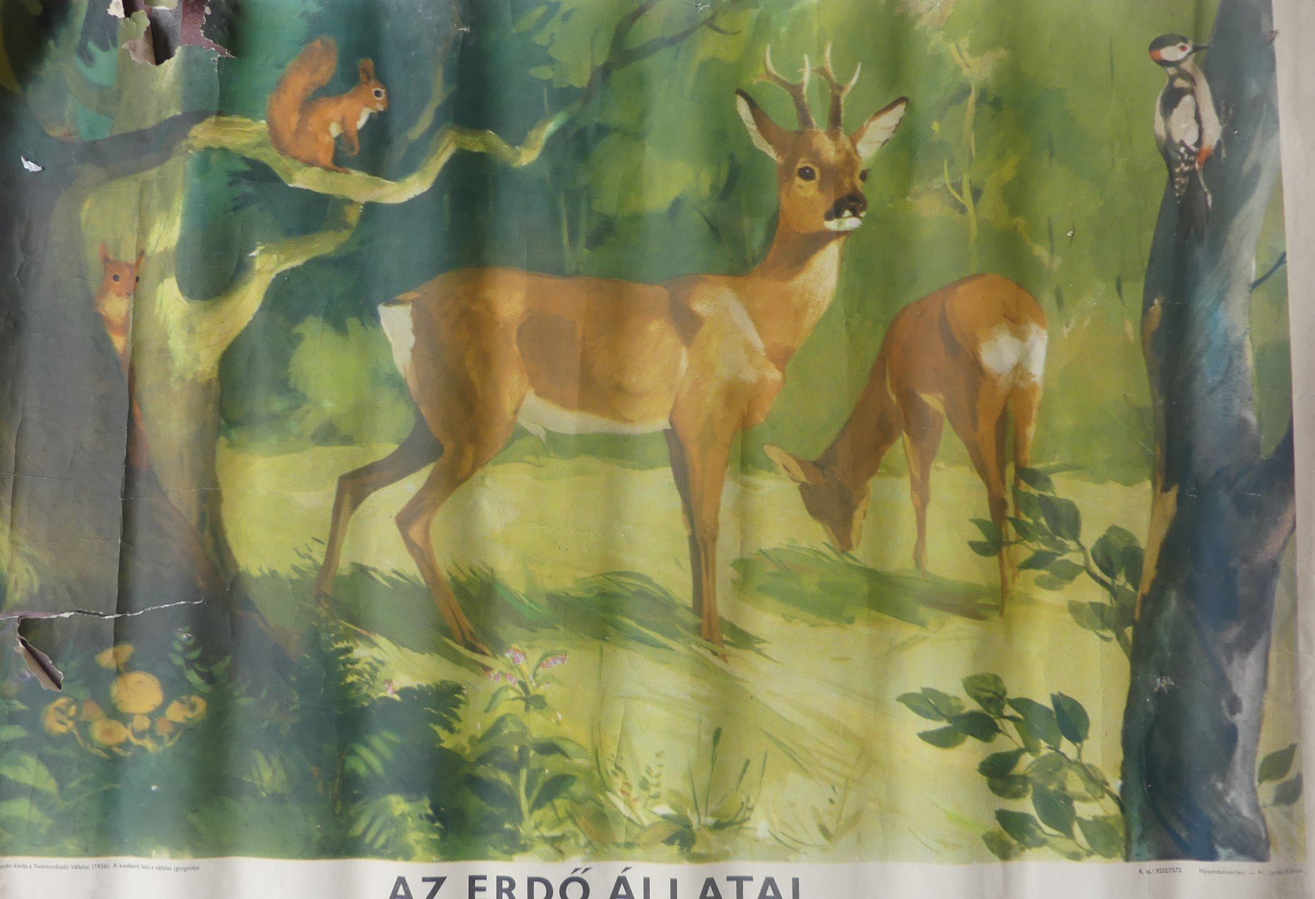Az erdő állatai című kép (Tapolcai Városi Múzeum CC BY-NC-SA)