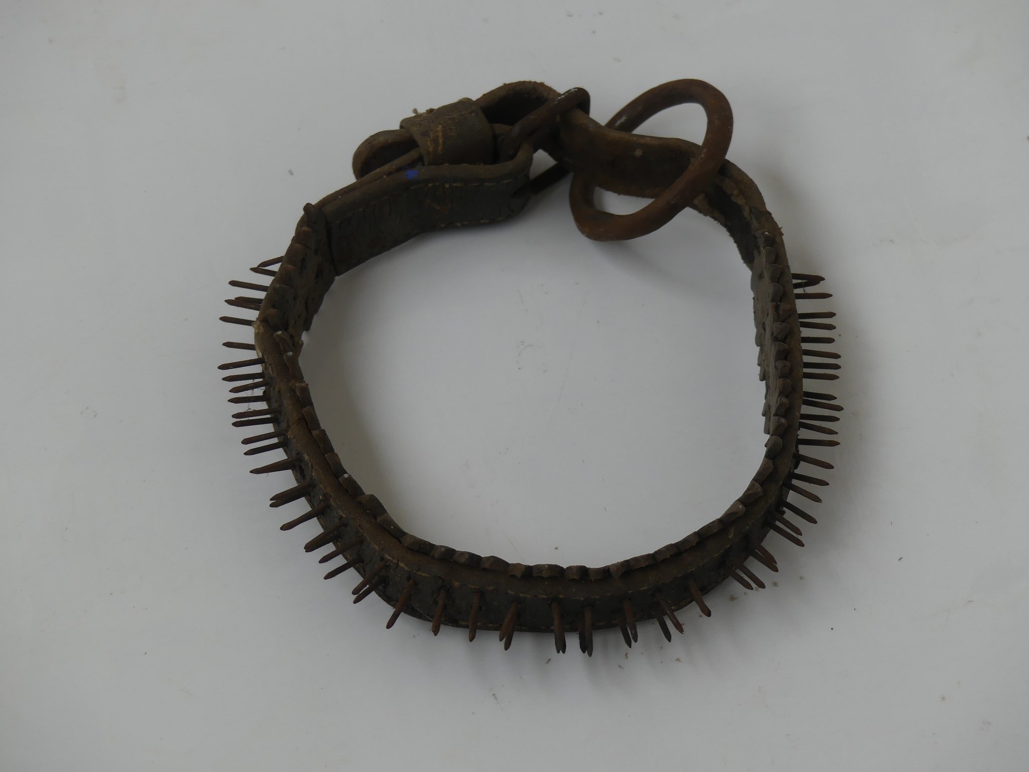 Szöges nyakörv (Tapolcai Városi Múzeum CC BY-NC-SA)