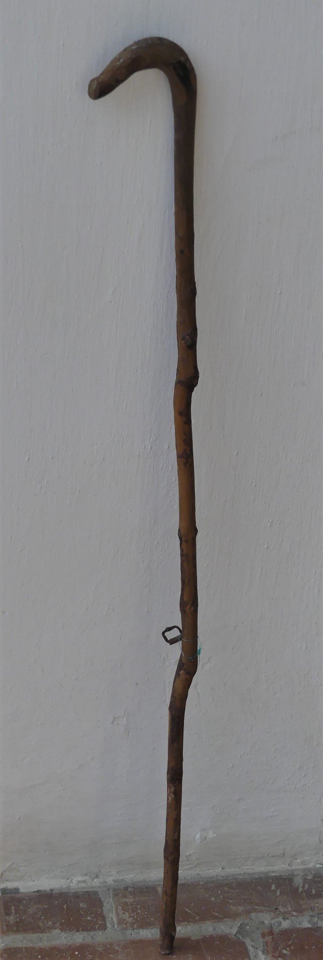 Görbe bot Tapolcáról (Tapolcai Városi Múzeum CC BY-NC-SA)