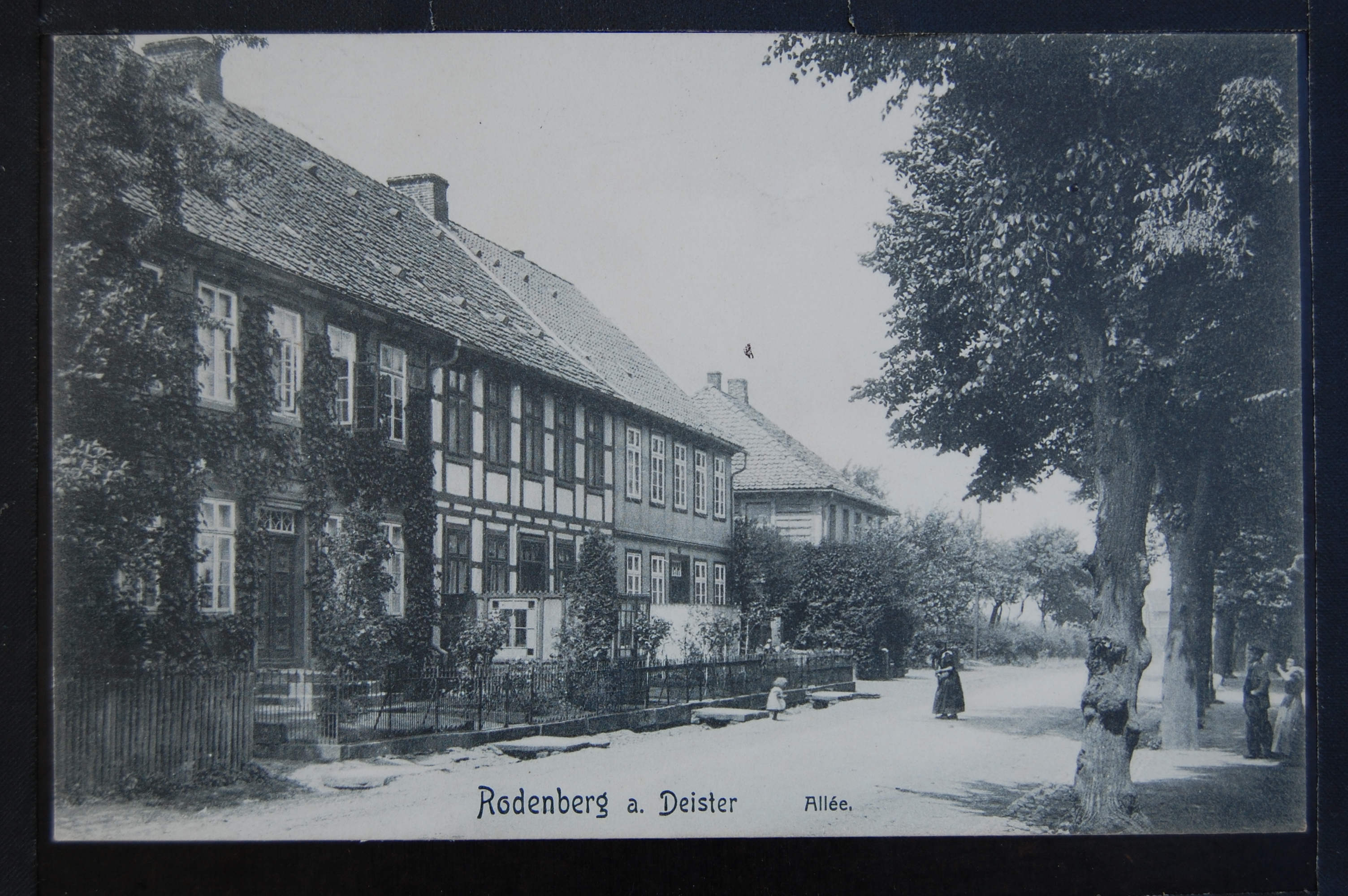 AK Rodenberg, Allee, Schwarz-Weiß, Foto, 1909 (Museumslandschaft Amt Rodenberg e.V. CC BY-NC-SA)